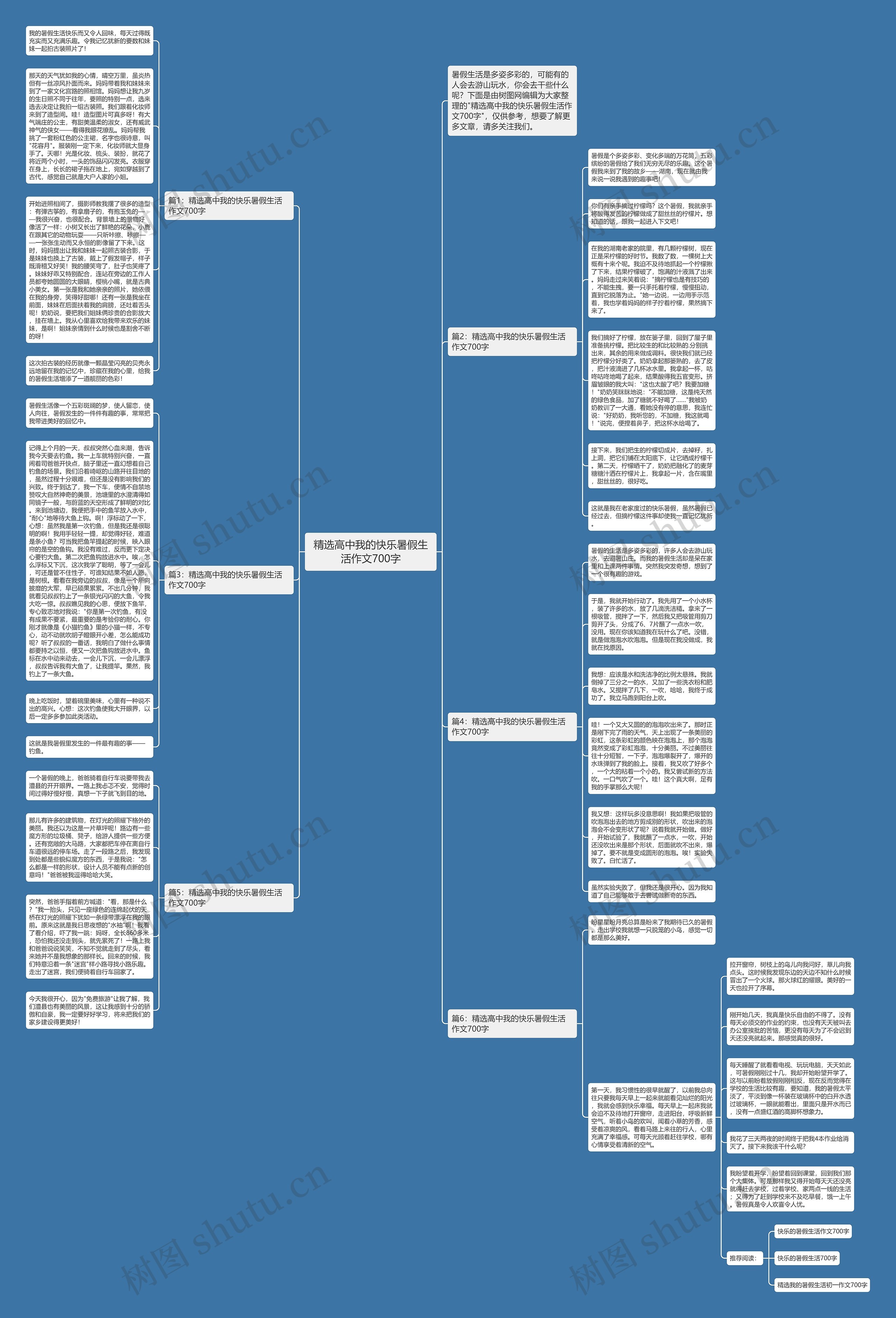 精选高中我的快乐暑假生活作文700字思维导图