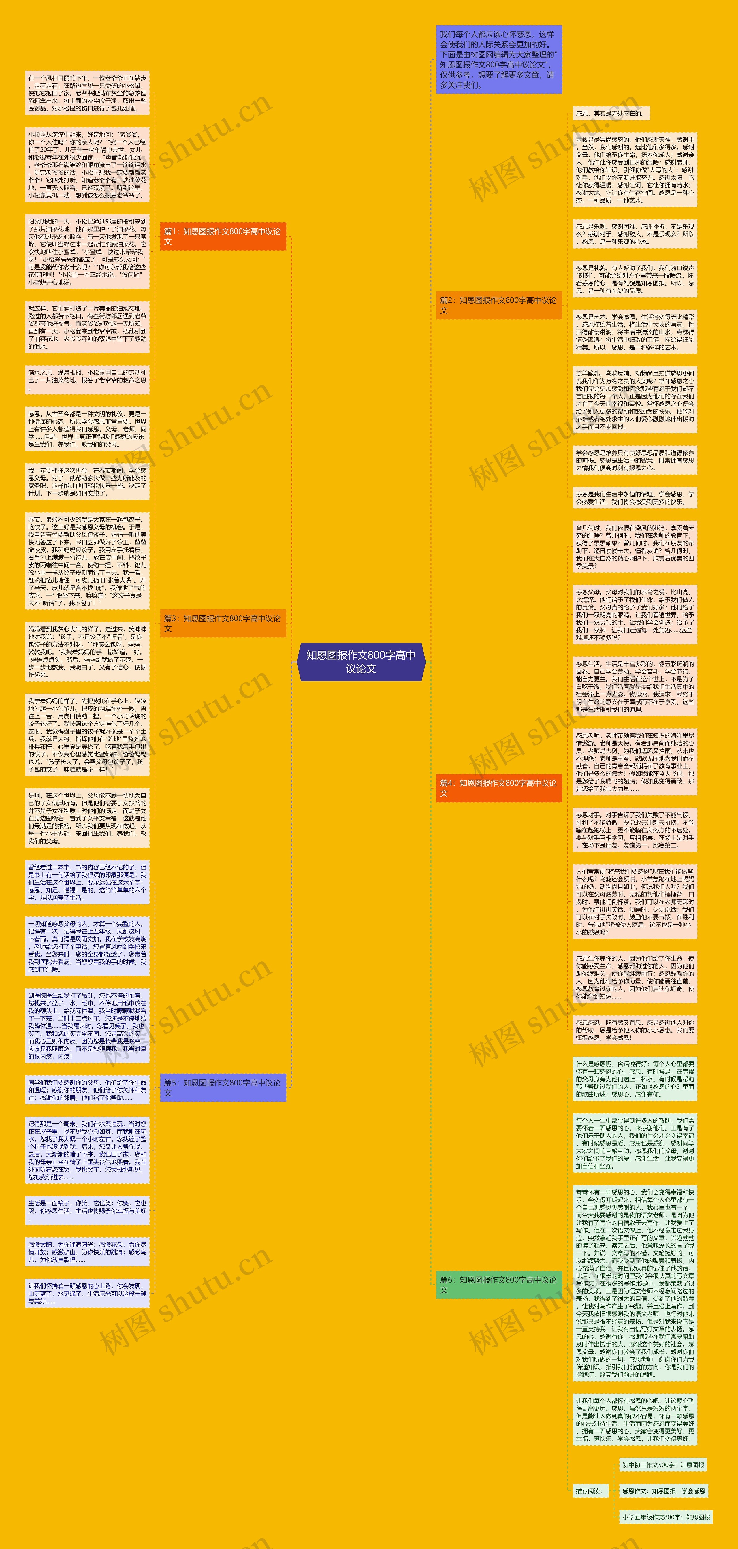 知恩图报作文800字高中议论文思维导图