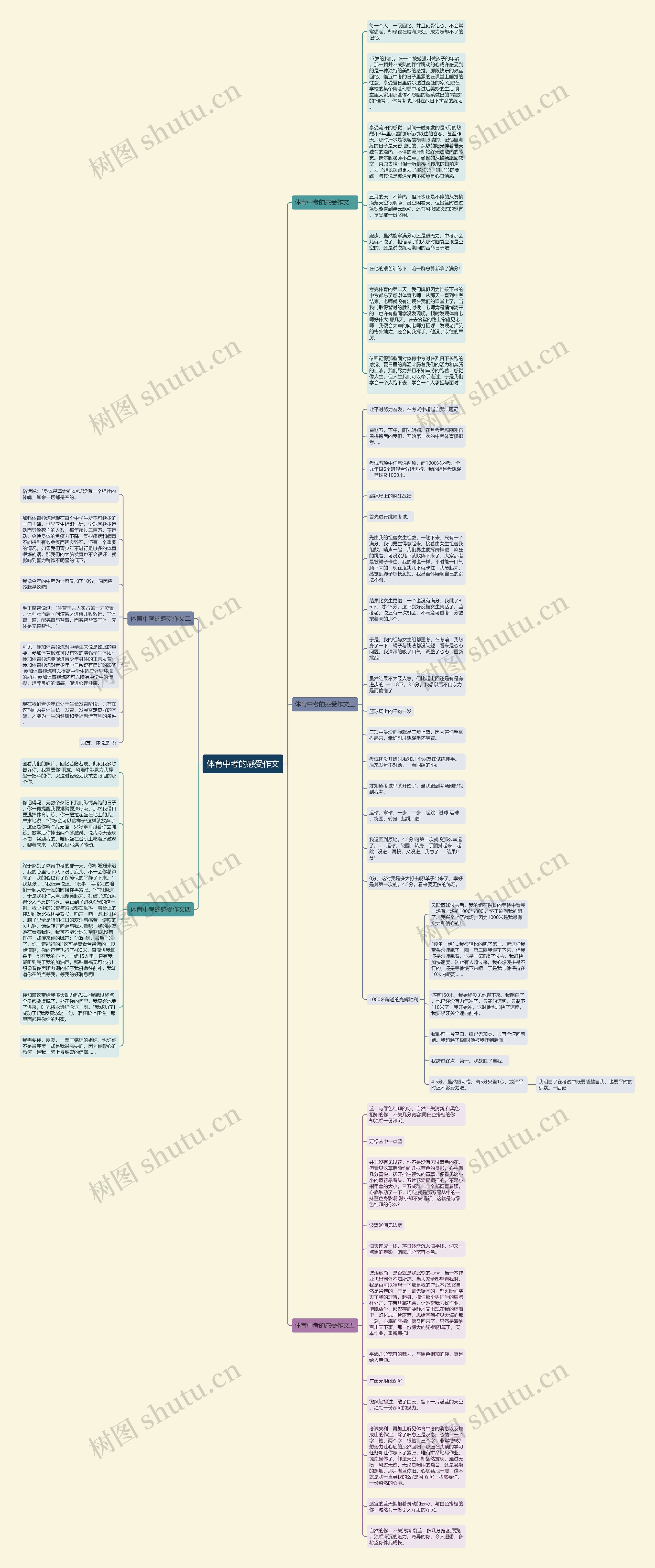 体育中考的感受作文思维导图