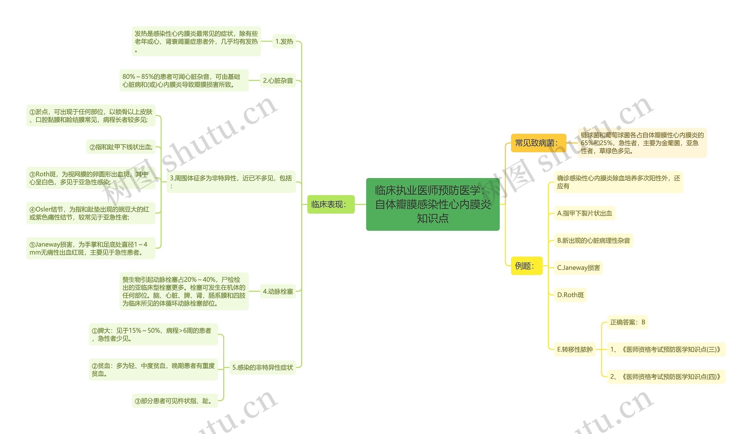 临床执业医师预防医学：自体瓣膜感染性心内膜炎知识点思维导图