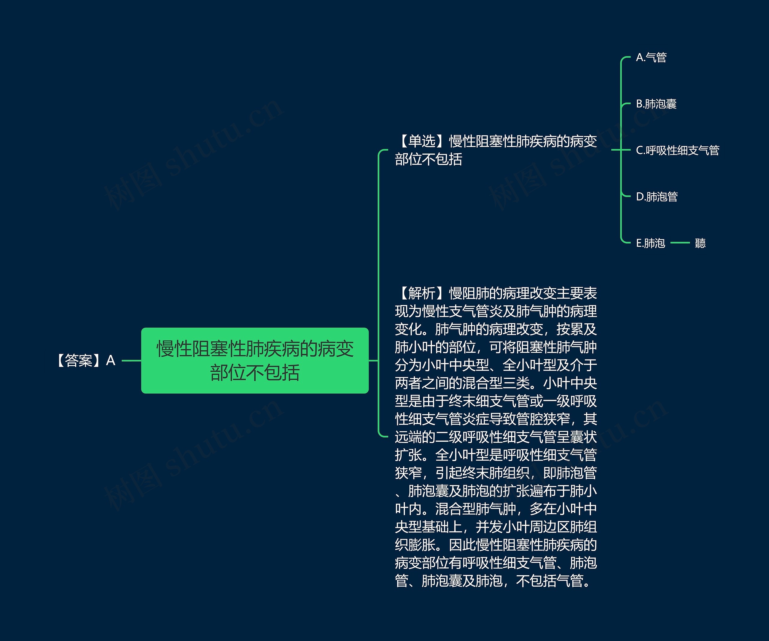 慢性阻塞性肺疾病的病变部位不包括思维导图