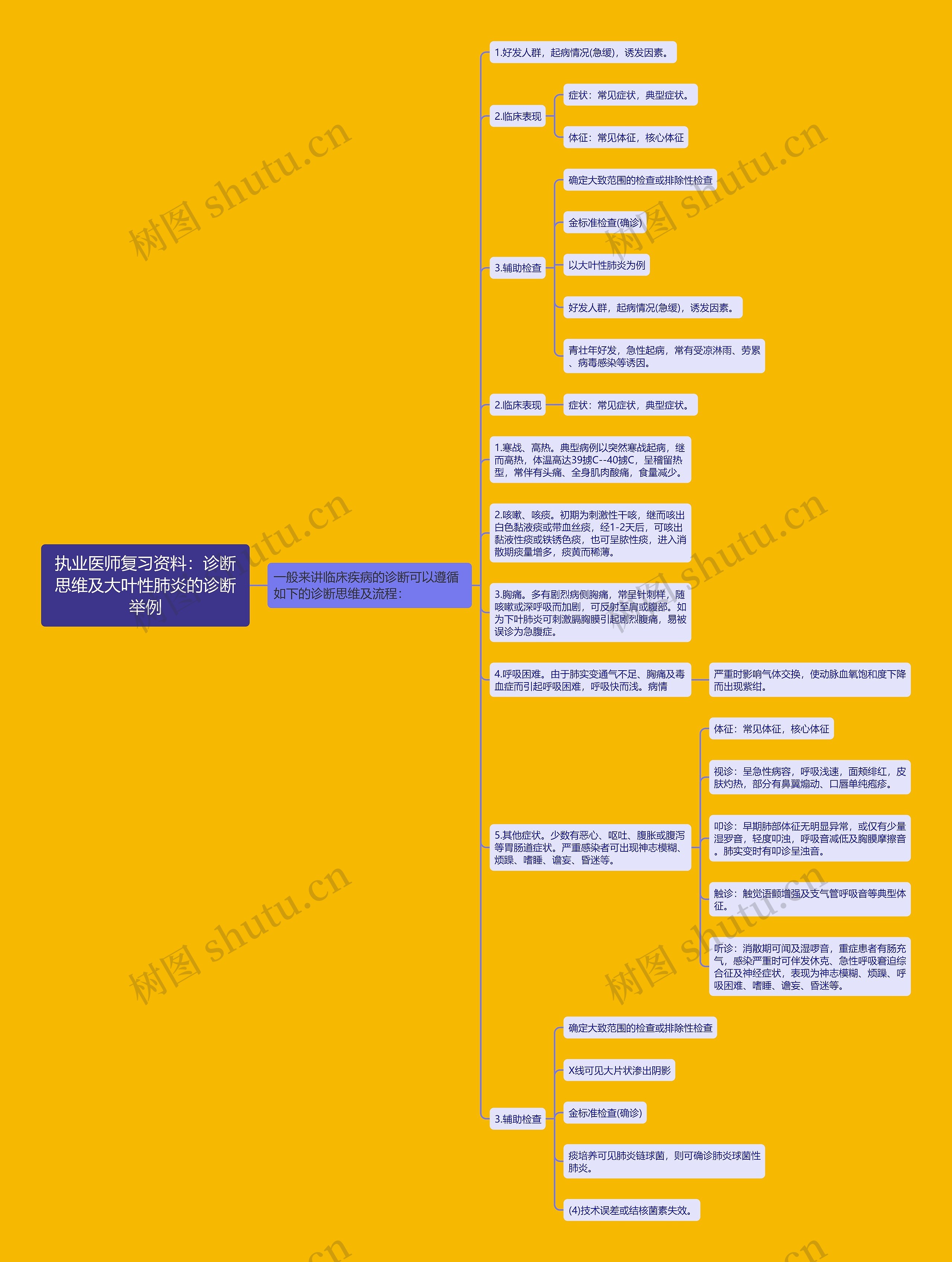 执业医师复习资料：诊断思维及大叶性肺炎的诊断举例思维导图