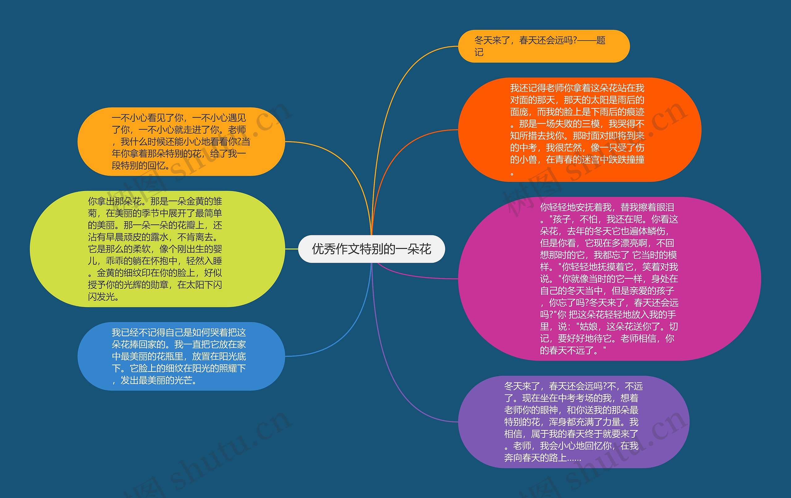 优秀作文特别的一朵花思维导图