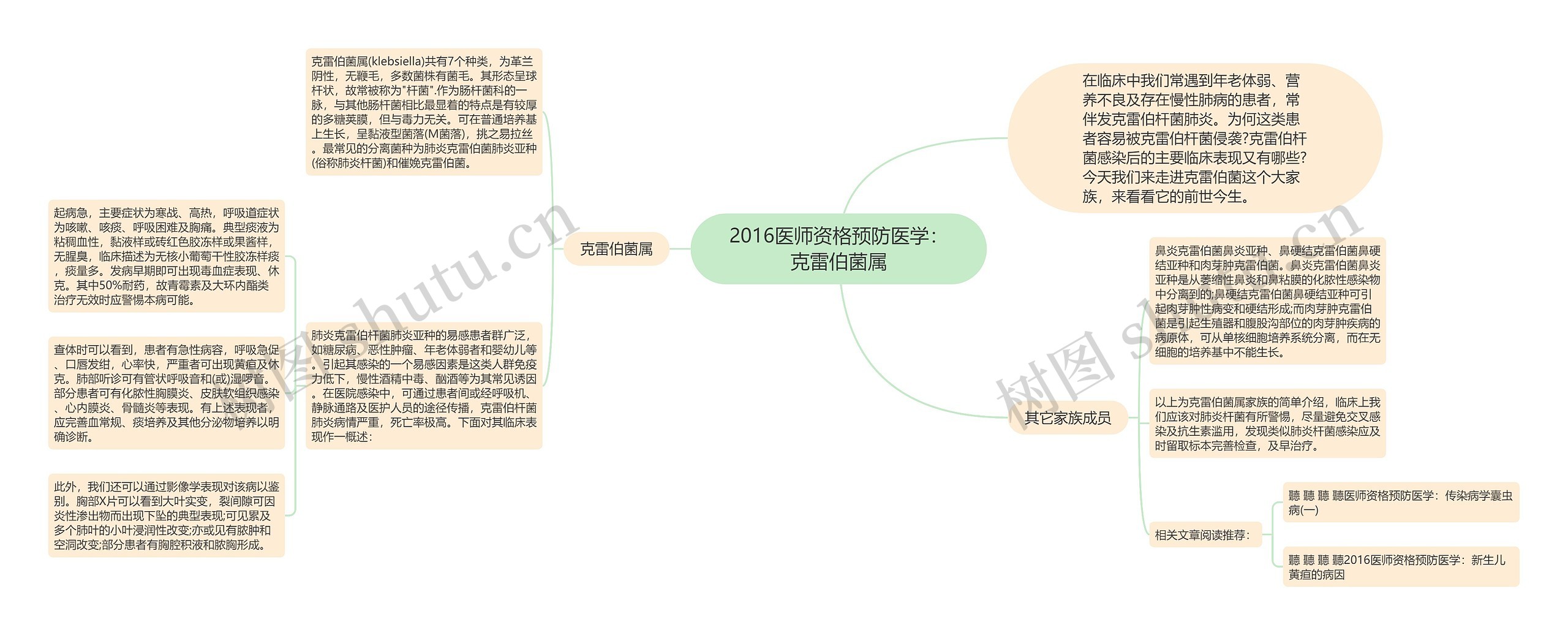 2016医师资格预防医学：克雷伯菌属