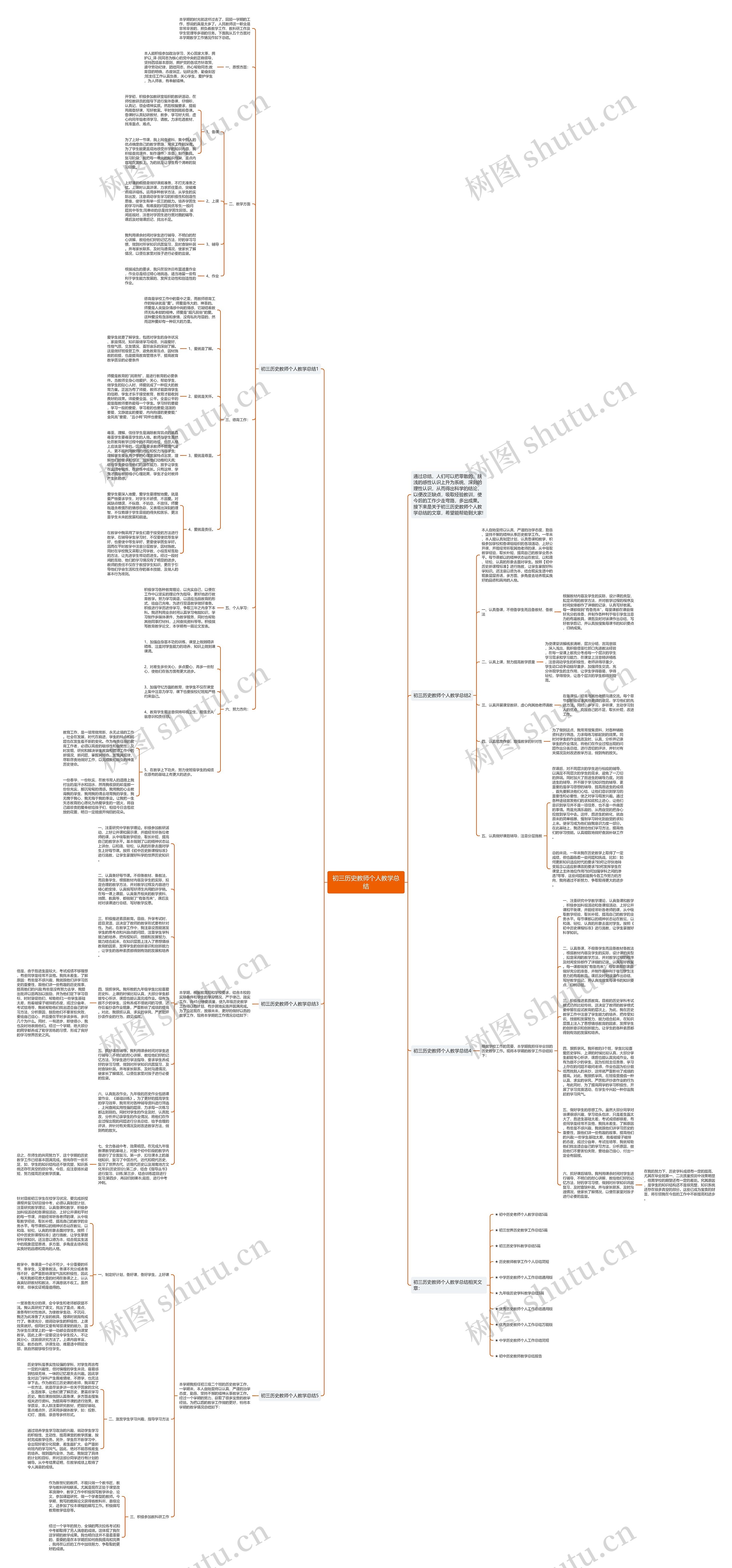 初三历史教师个人教学总结思维导图