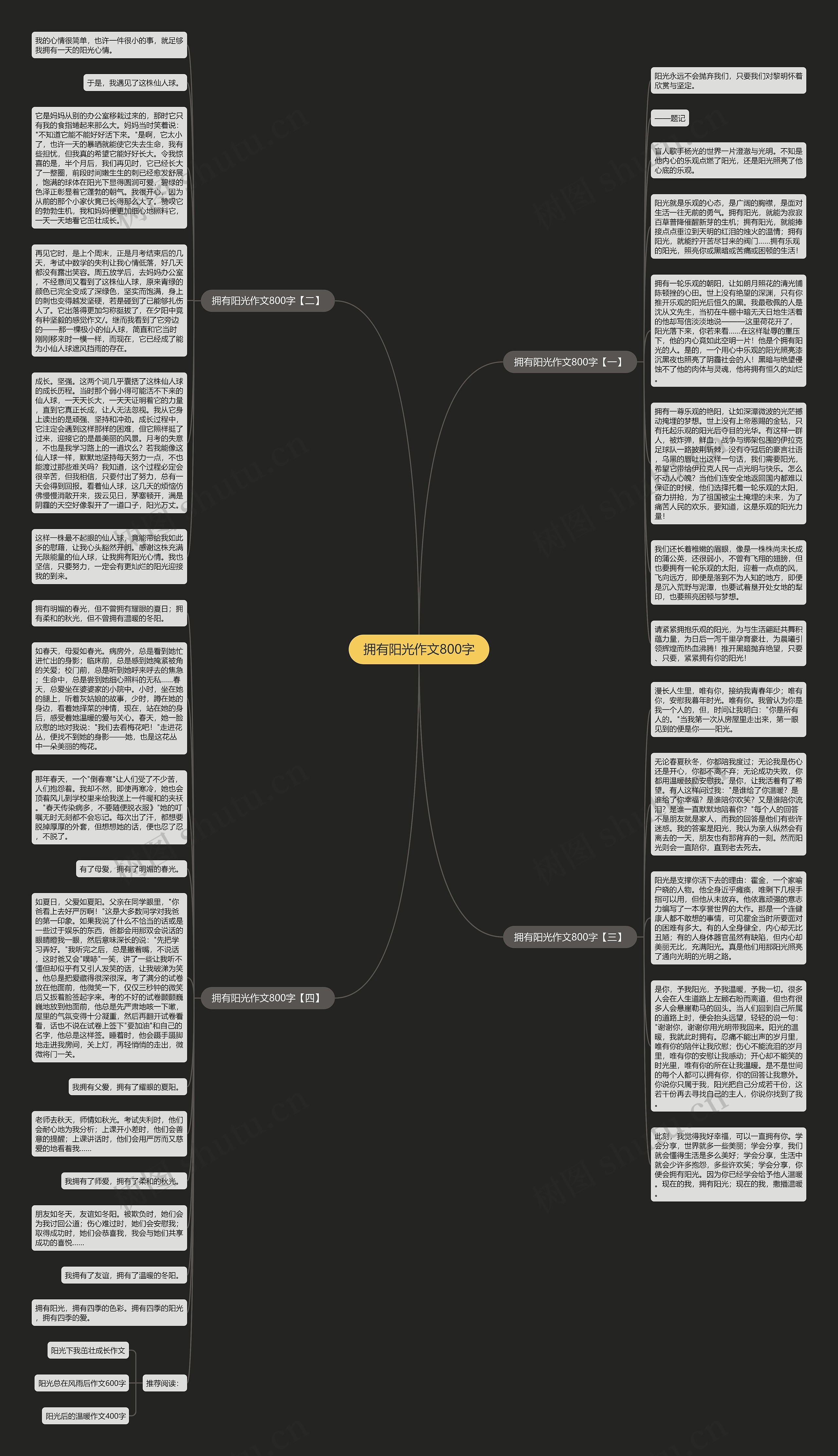 拥有阳光作文800字思维导图