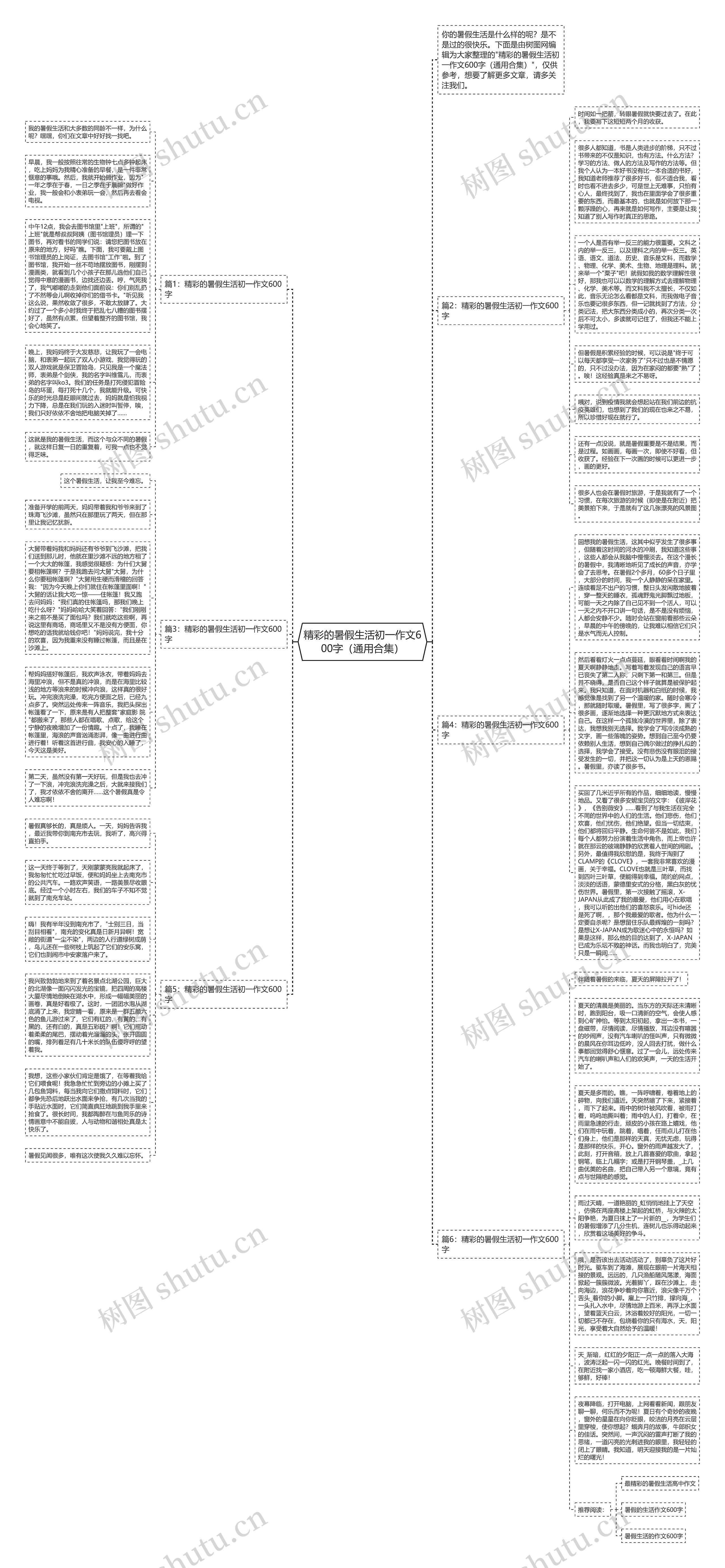 精彩的暑假生活初一作文600字（通用合集）思维导图