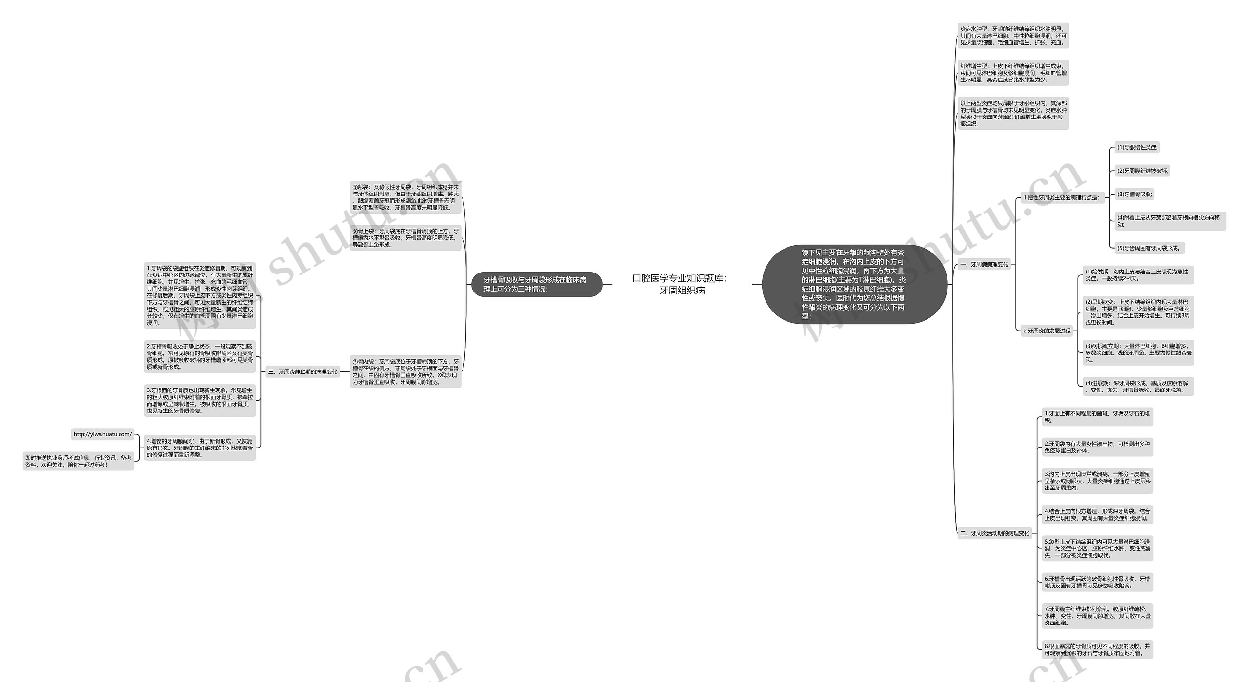 口腔医学专业知识题库：牙周组织病思维导图