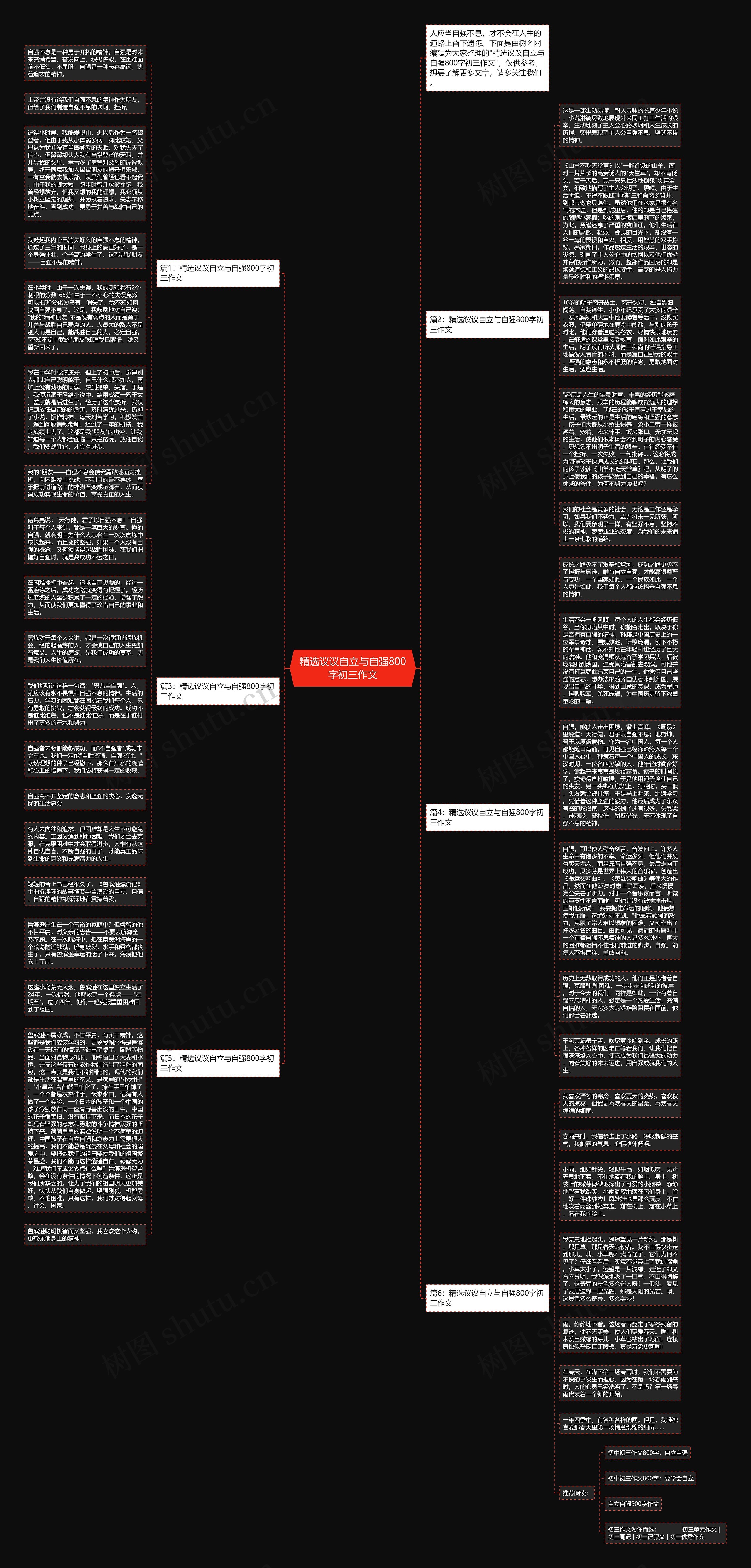精选议议自立与自强800字初三作文思维导图