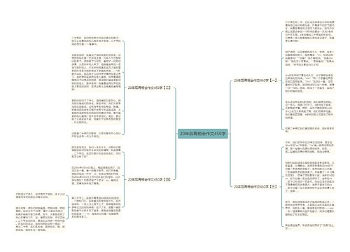20年后再相会作文450字