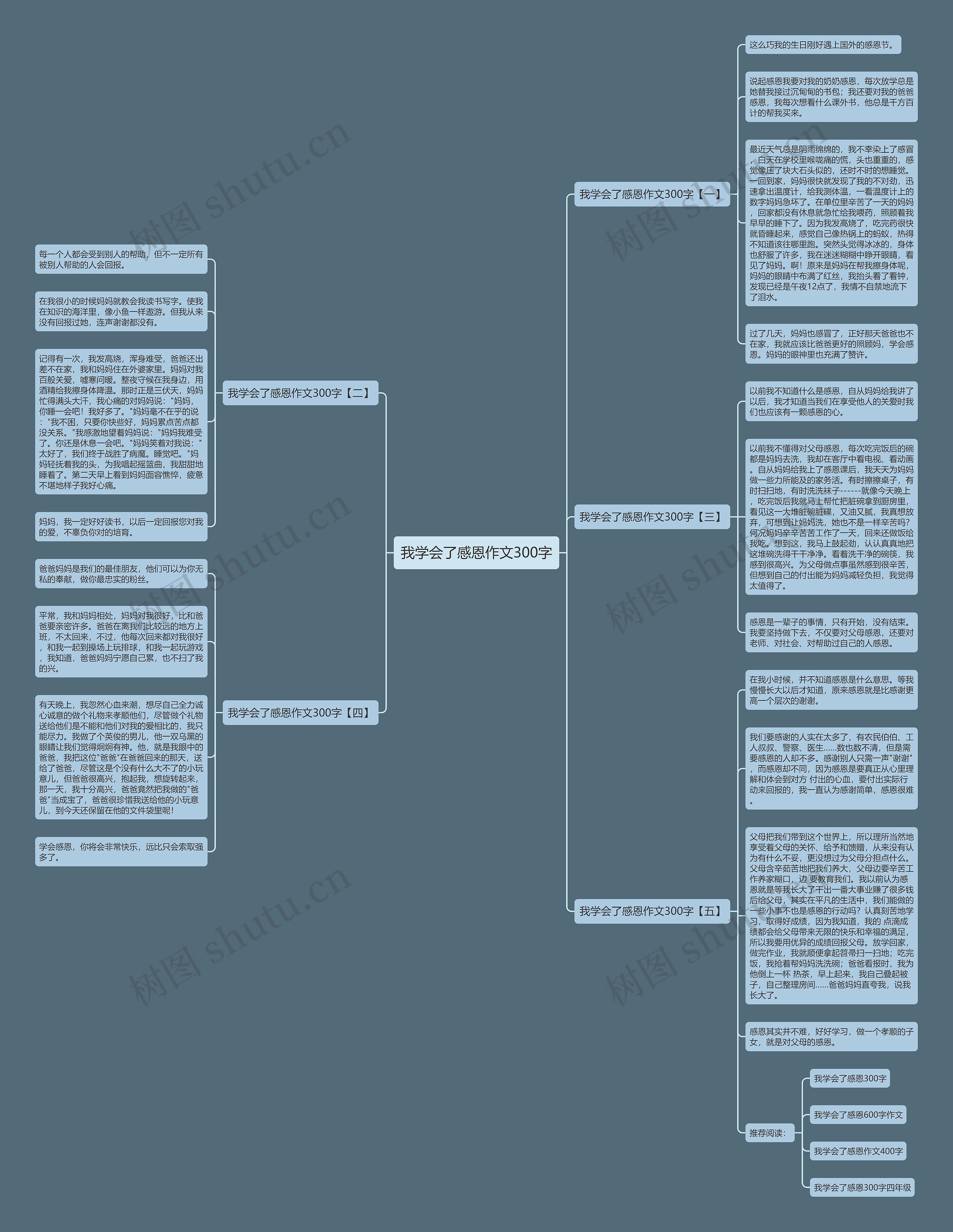 我学会了感恩作文300字思维导图
