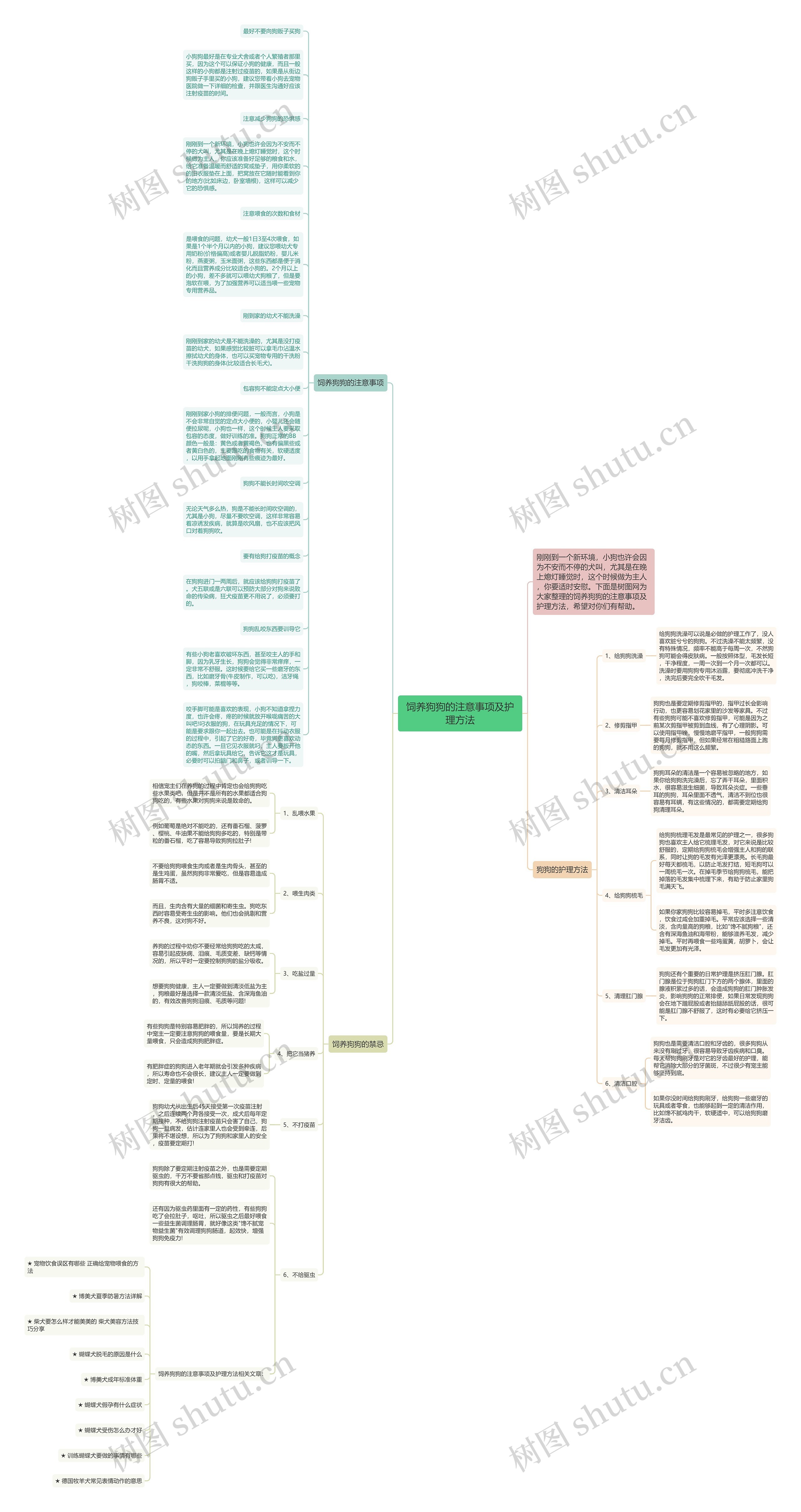 饲养狗狗的注意事项及护理方法思维导图