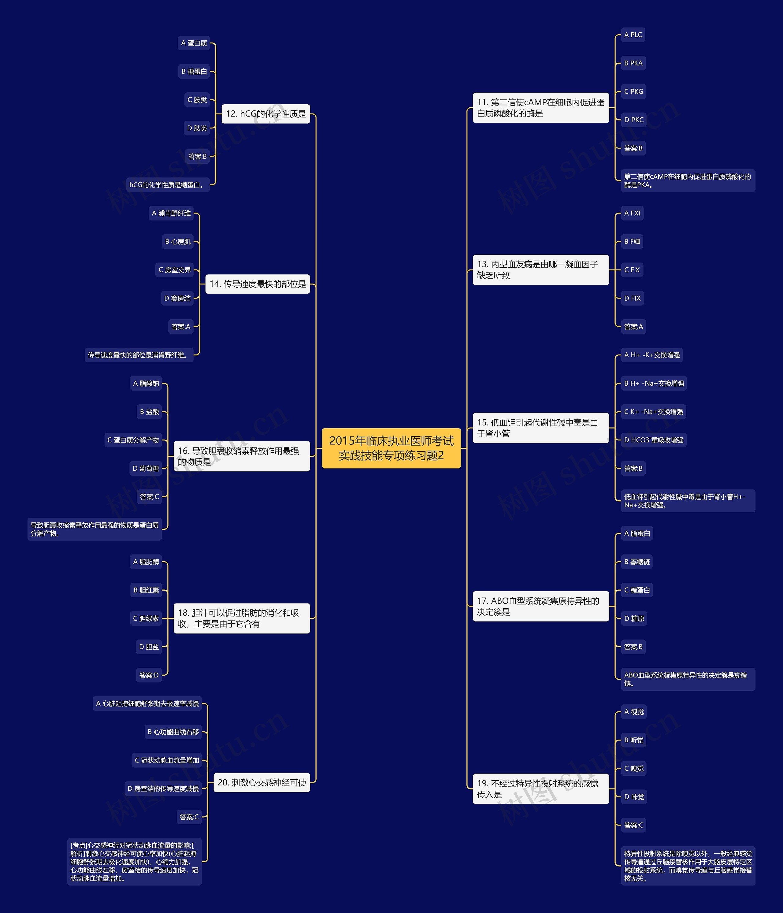 2015年临床执业医师考试实践技能专项练习题2思维导图