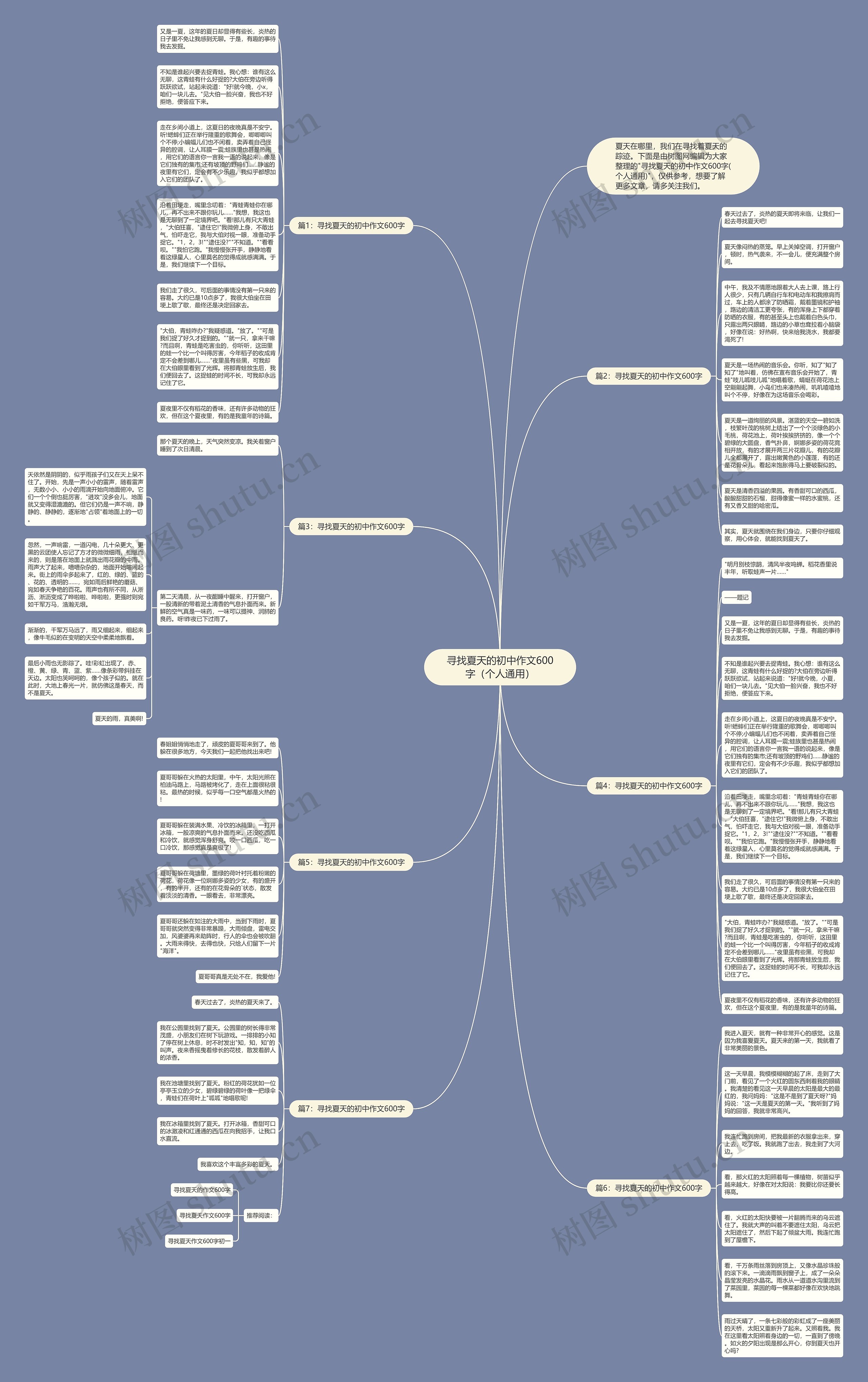 寻找夏天的初中作文600字（个人通用）思维导图