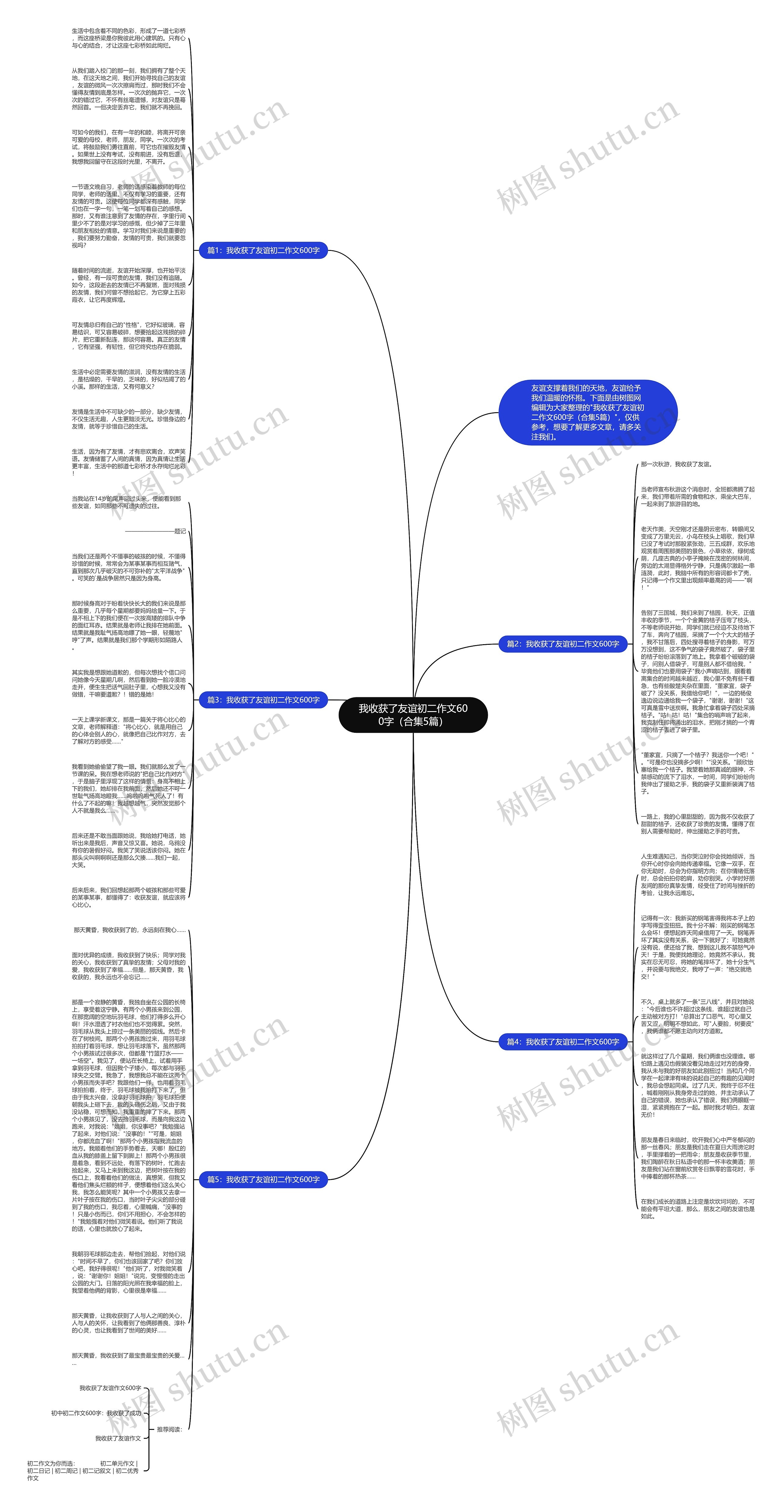 我收获了友谊初二作文600字（合集5篇）思维导图
