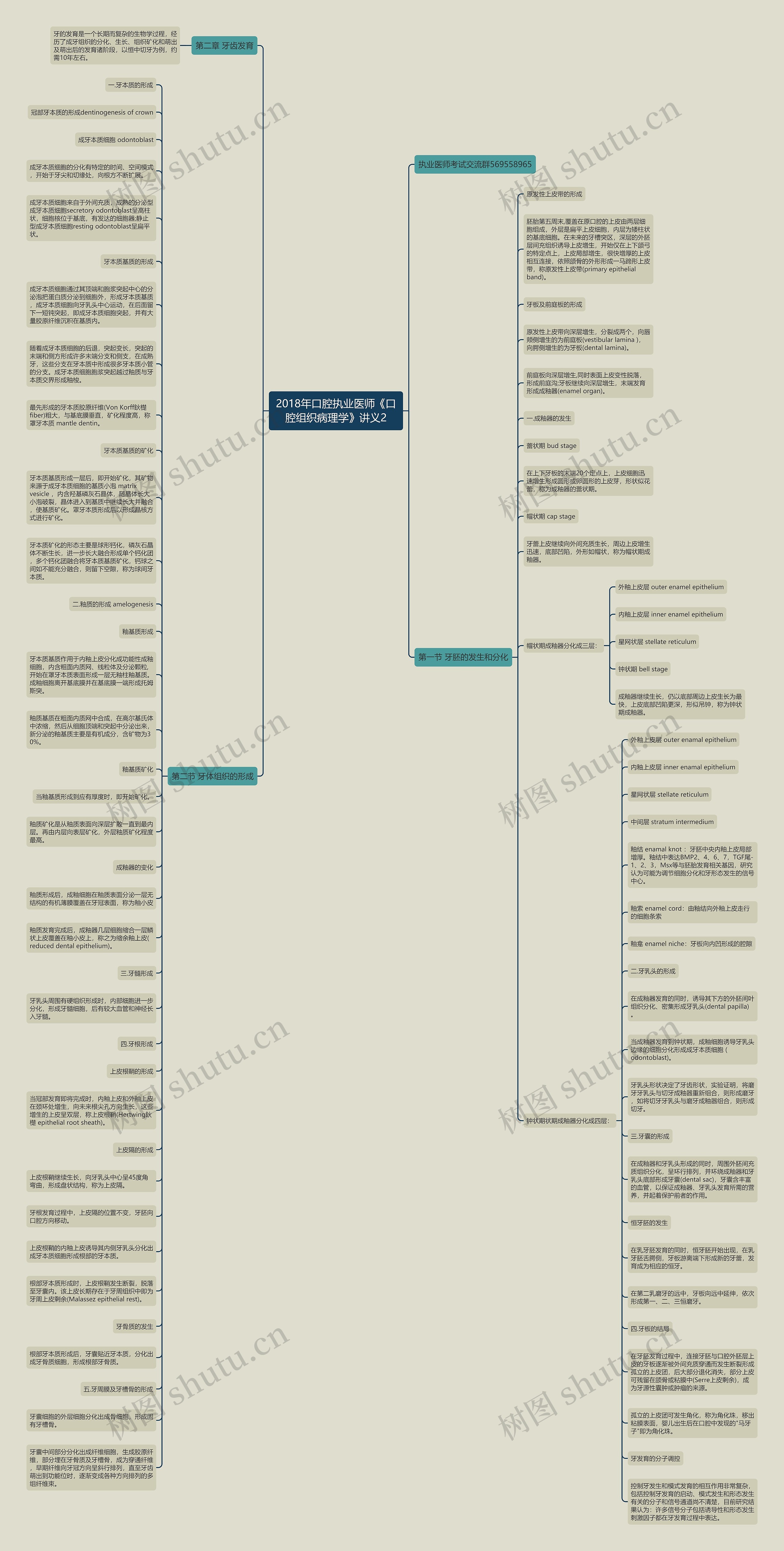 2018年口腔执业医师《口腔组织病理学》讲义2