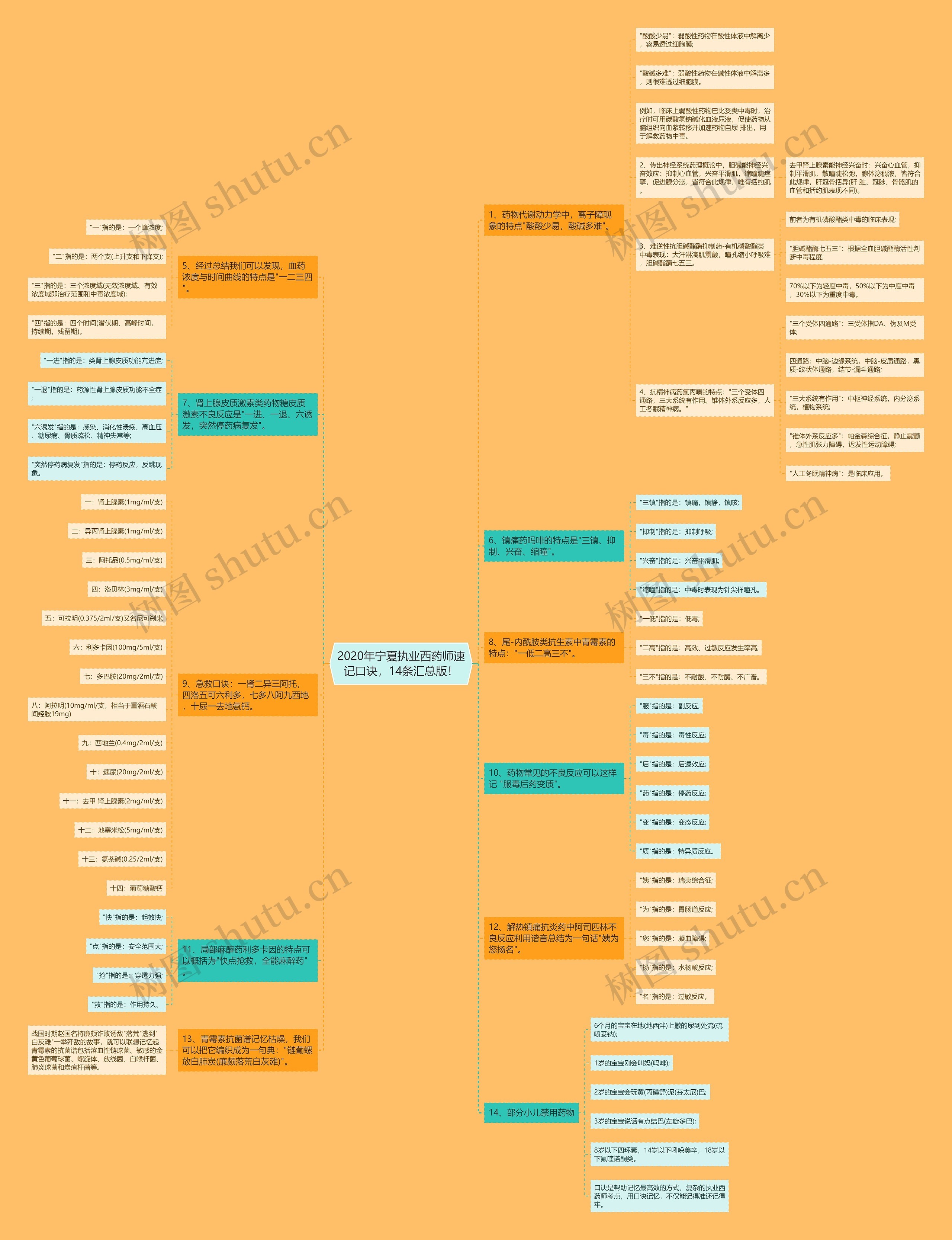 2020年宁夏执业西药师速记口诀，14条汇总版！思维导图