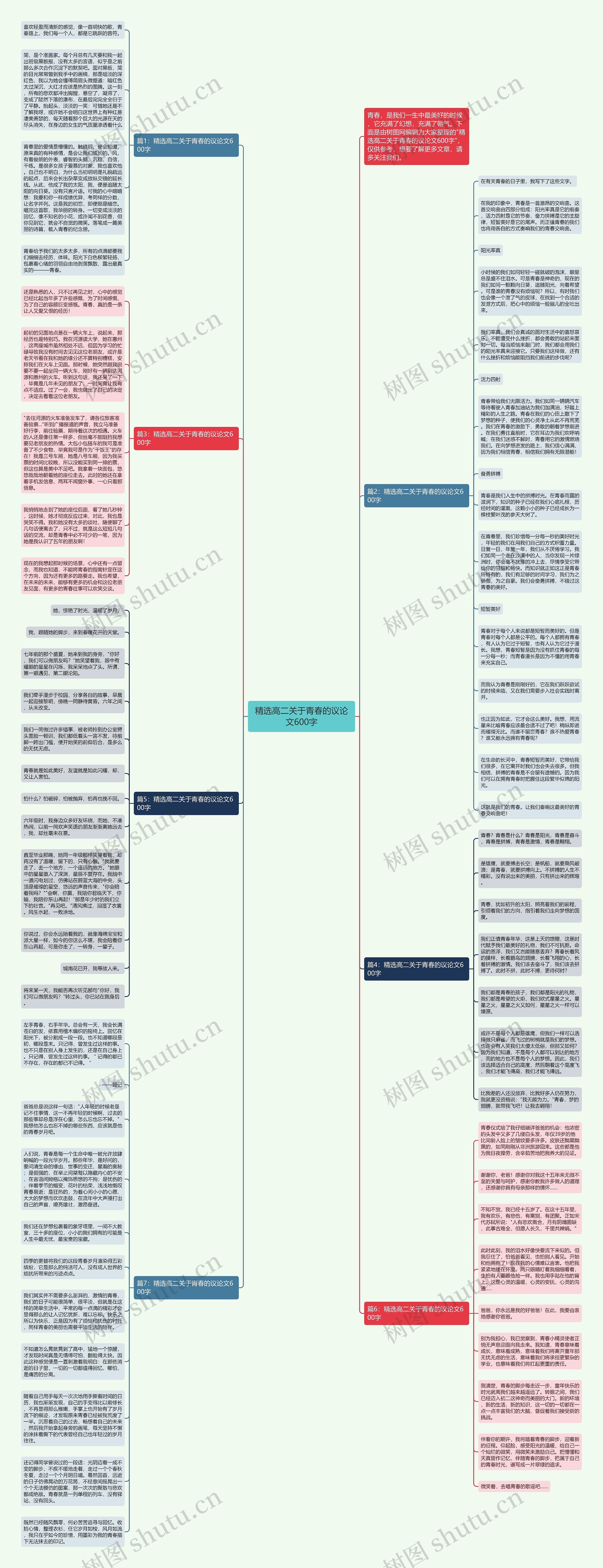 精选高二关于青春的议论文600字思维导图