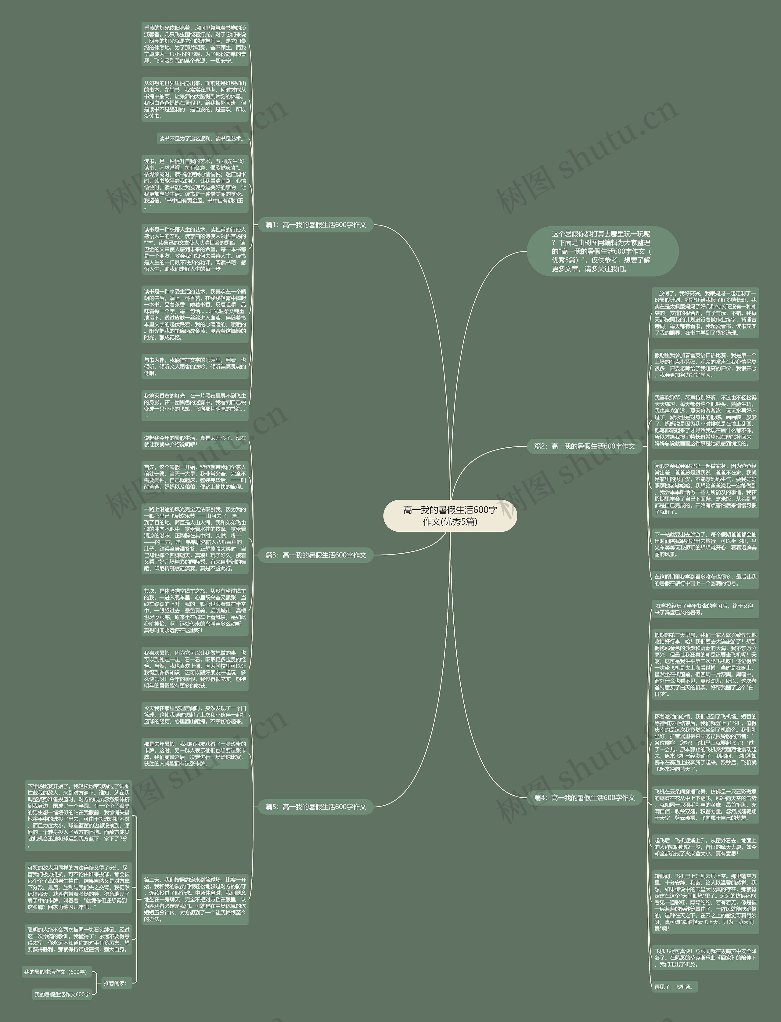 高一我的暑假生活600字作文(优秀5篇)思维导图