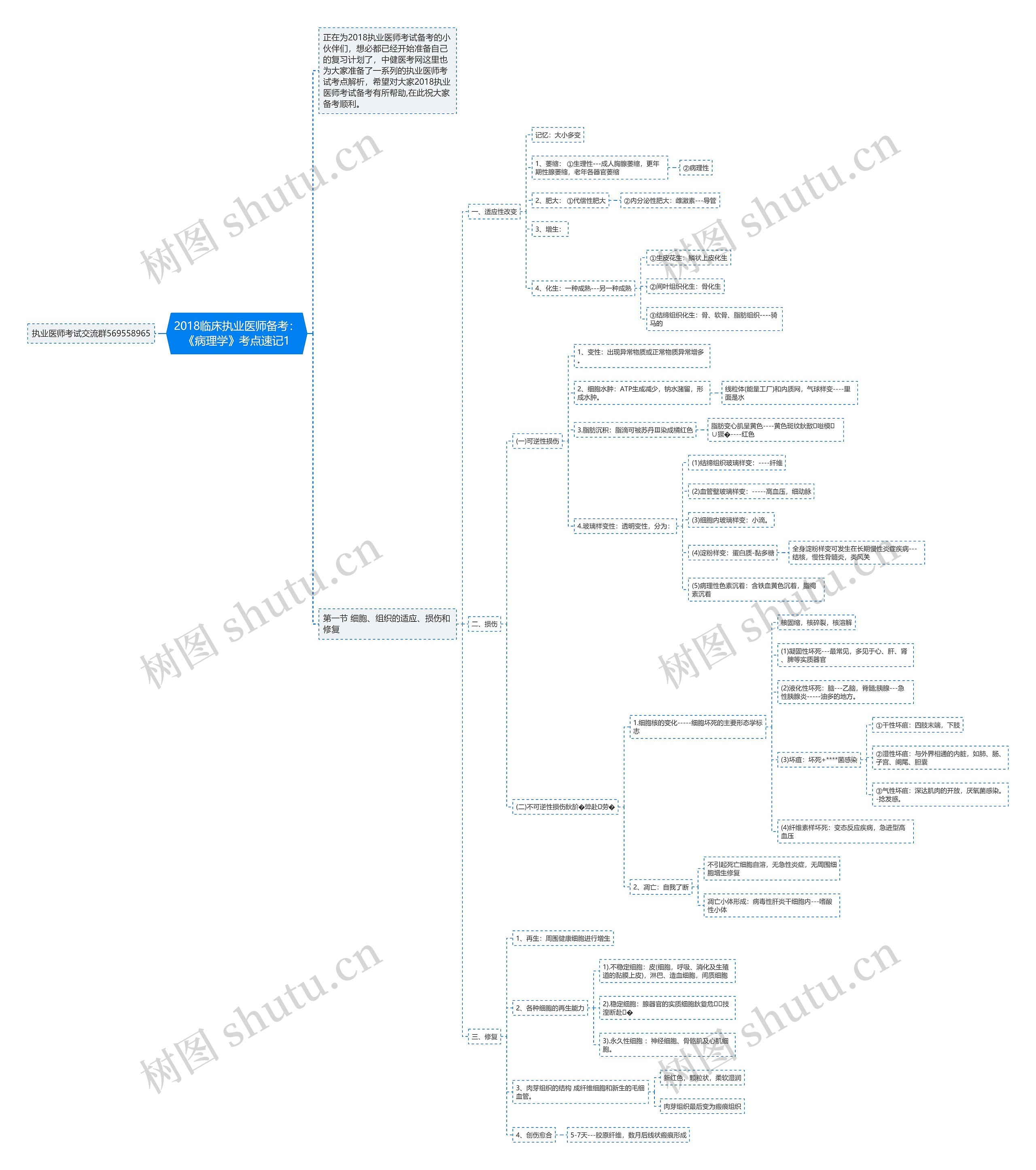 2018临床执业医师备考：《病理学》考点速记1思维导图