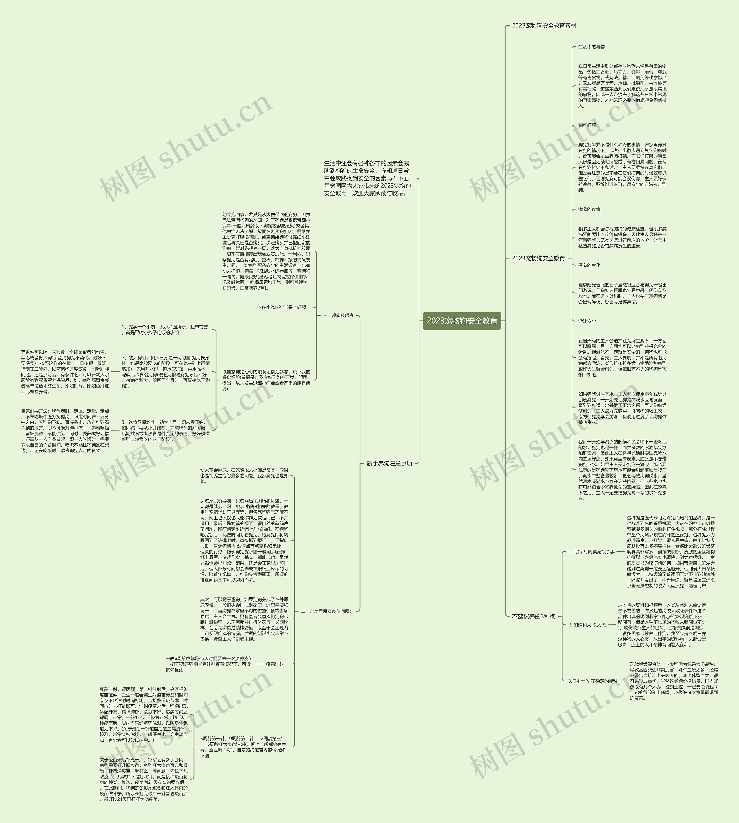 2023宠物狗安全教育思维导图