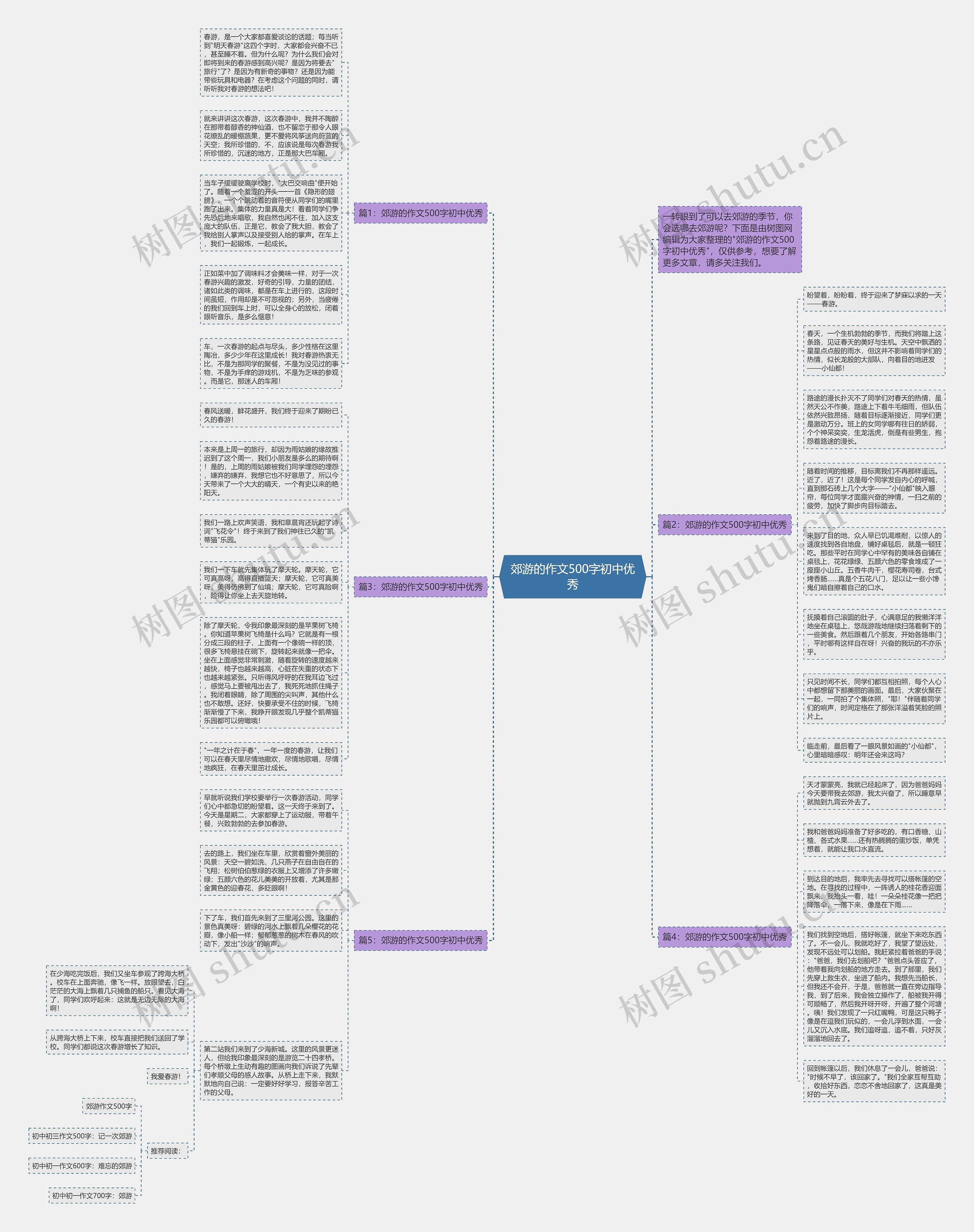郊游的作文500字初中优秀思维导图
