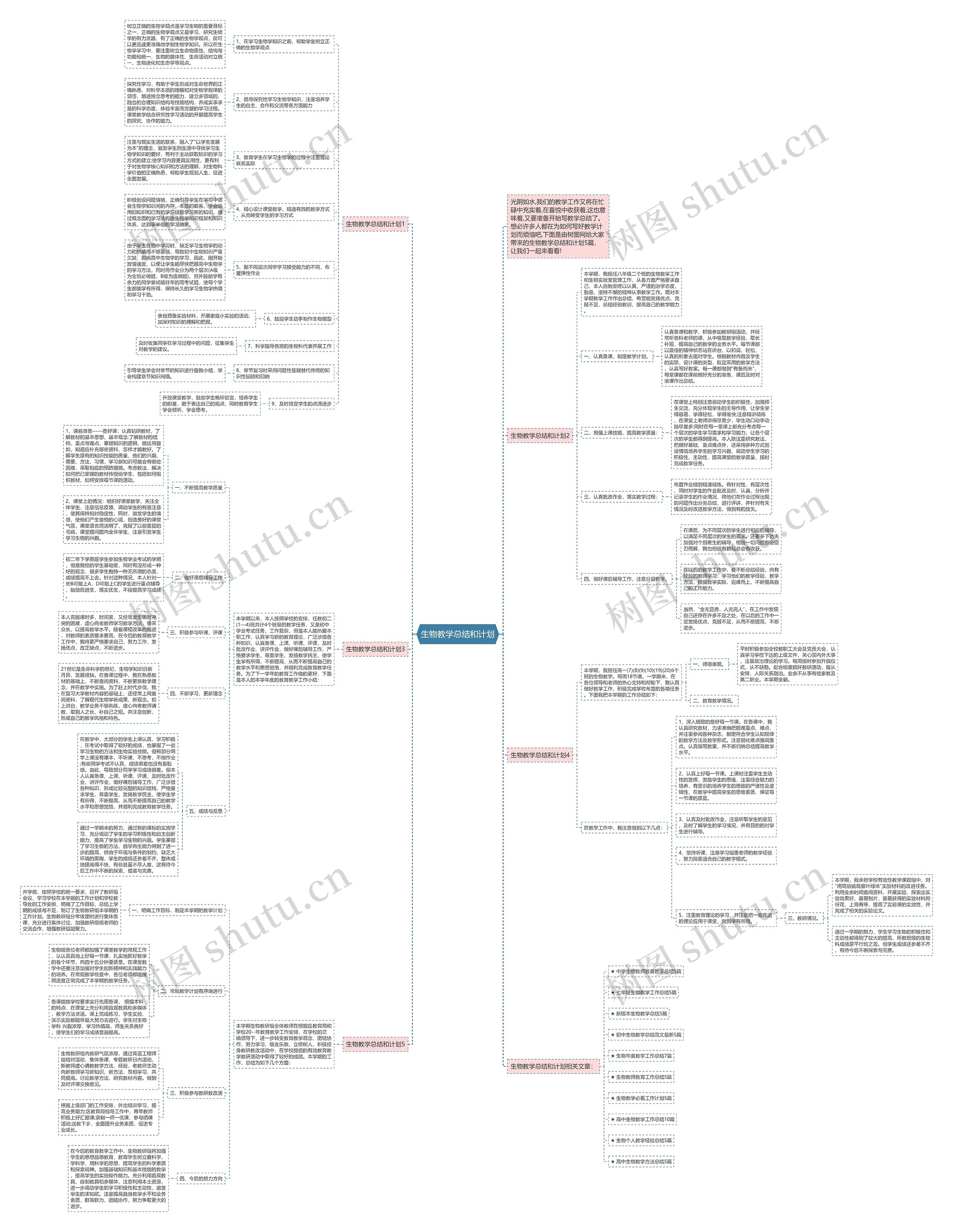 生物教学总结和计划思维导图