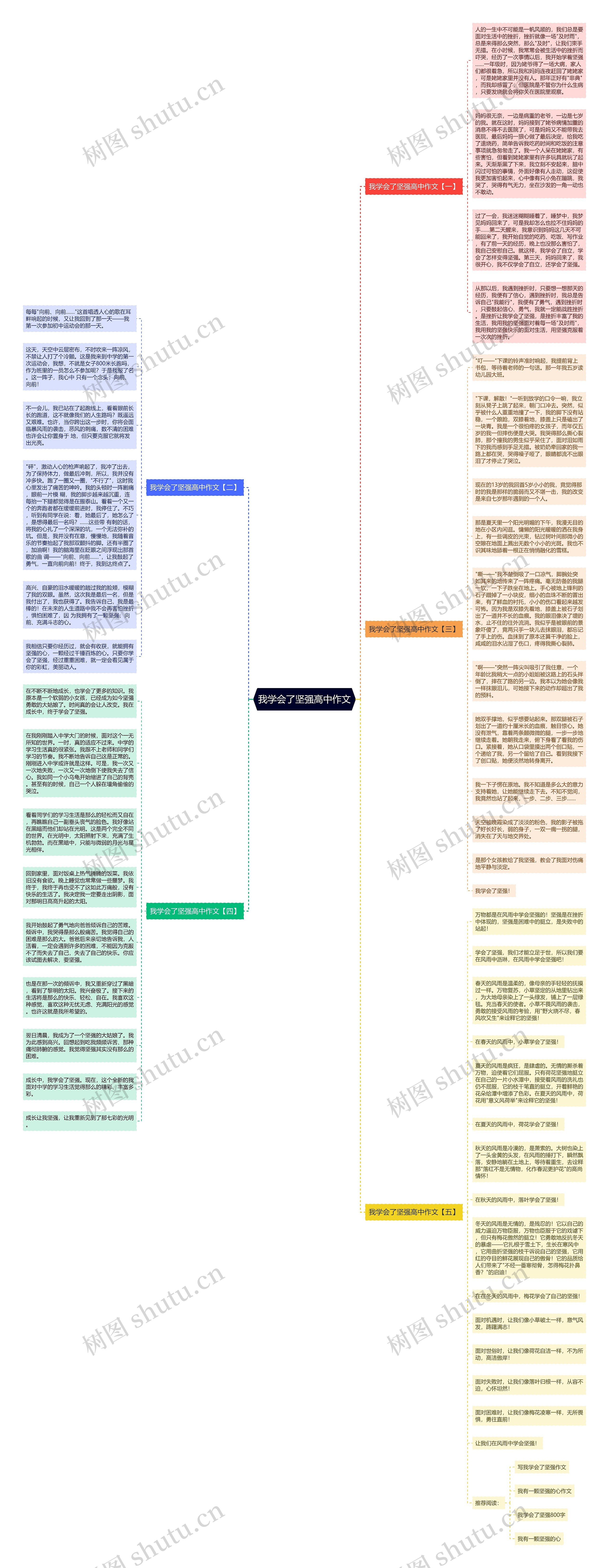 我学会了坚强高中作文思维导图
