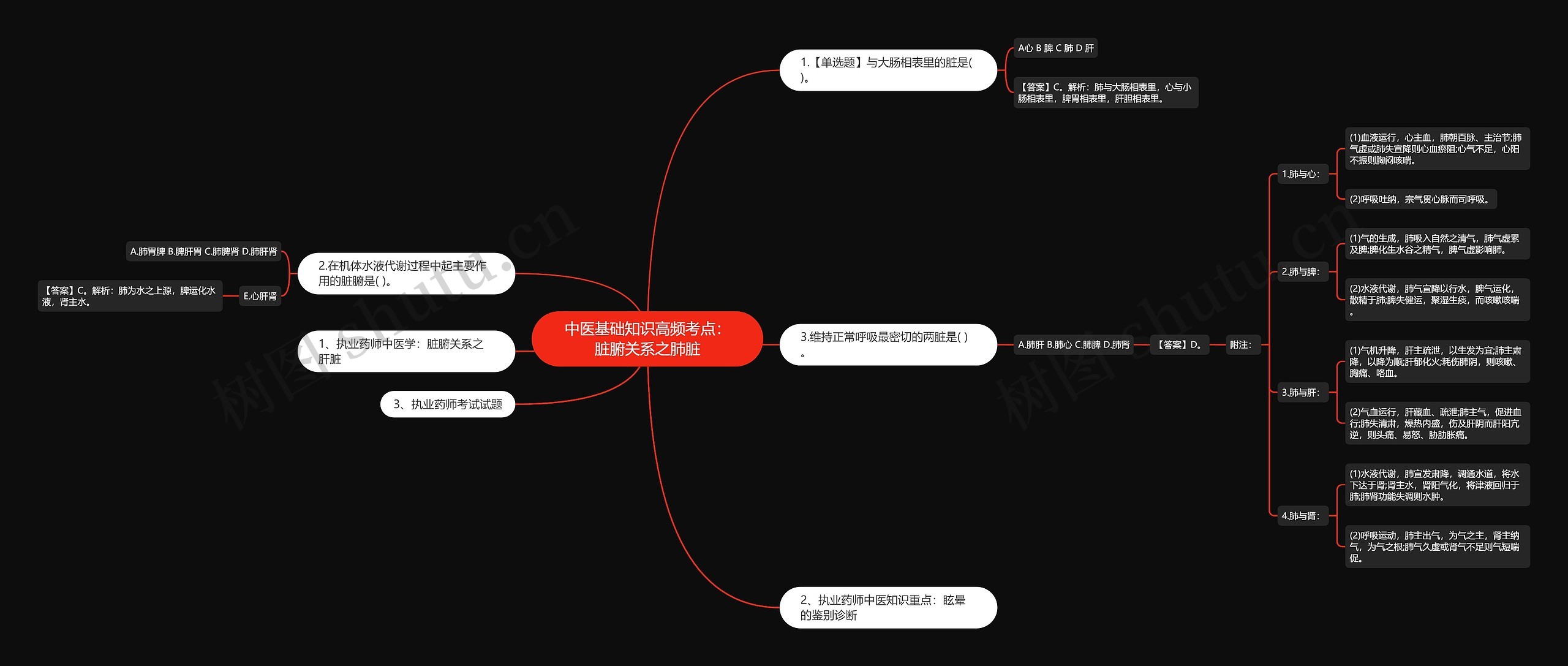 中医基础知识高频考点：脏腑关系之肺脏