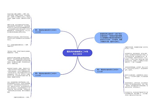 精选我的植物朋友三年级作文300字