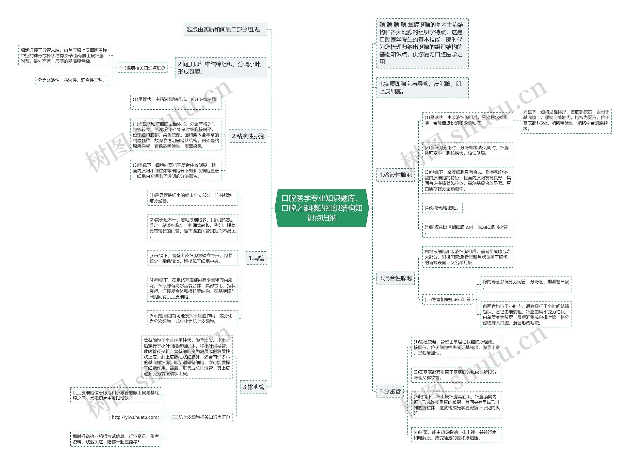 口腔医学专业知识题库:口腔之涎腺的组织结构知识点归纳 口腔医学专业知识题库:口腔之涎腺的组织结构知识点归纳
