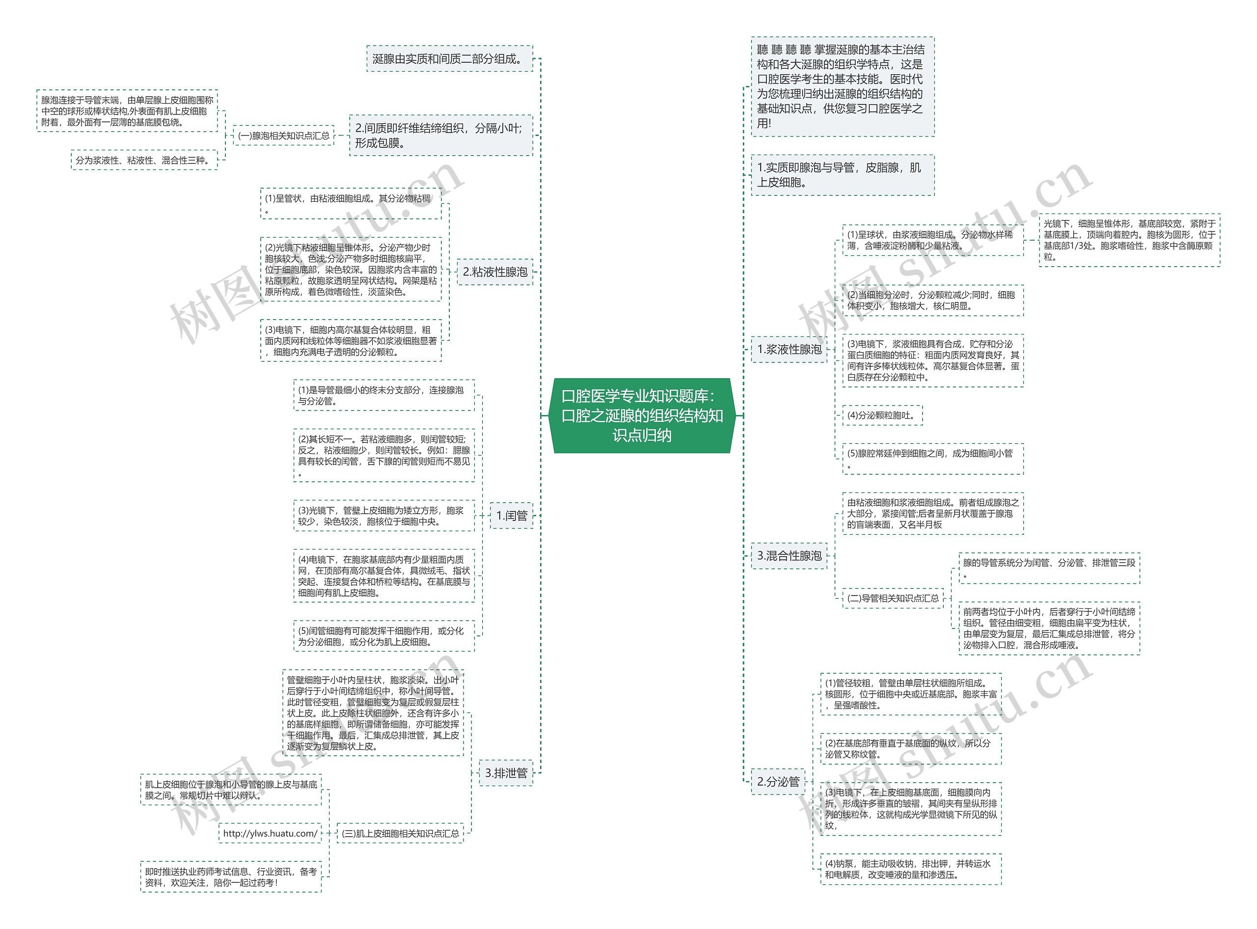 口腔医学专业知识题库：口腔之涎腺的组织结构知识点归纳思维导图