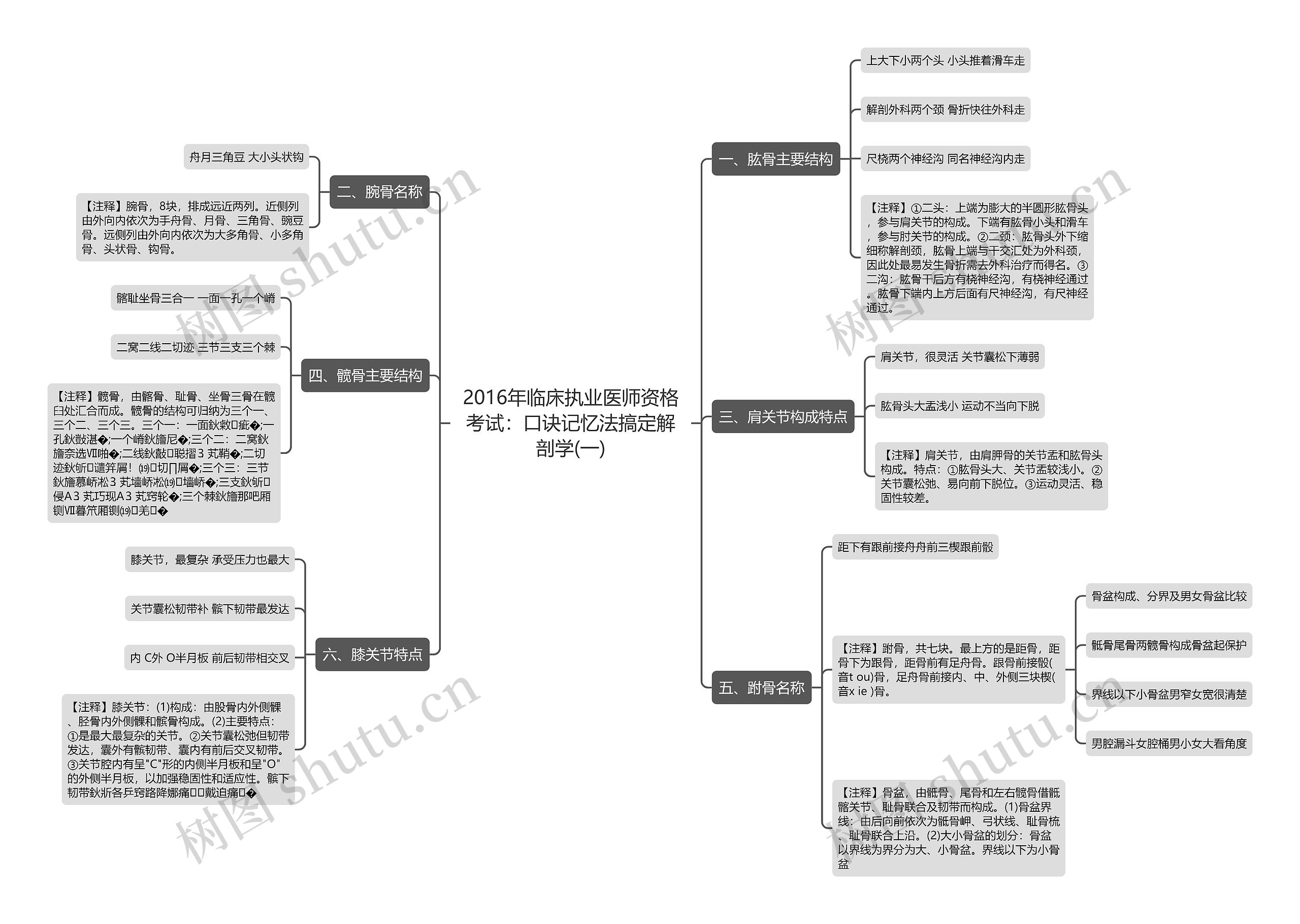 2016年临床执业医师资格考试：口诀记忆法搞定解剖学(一)思维导图