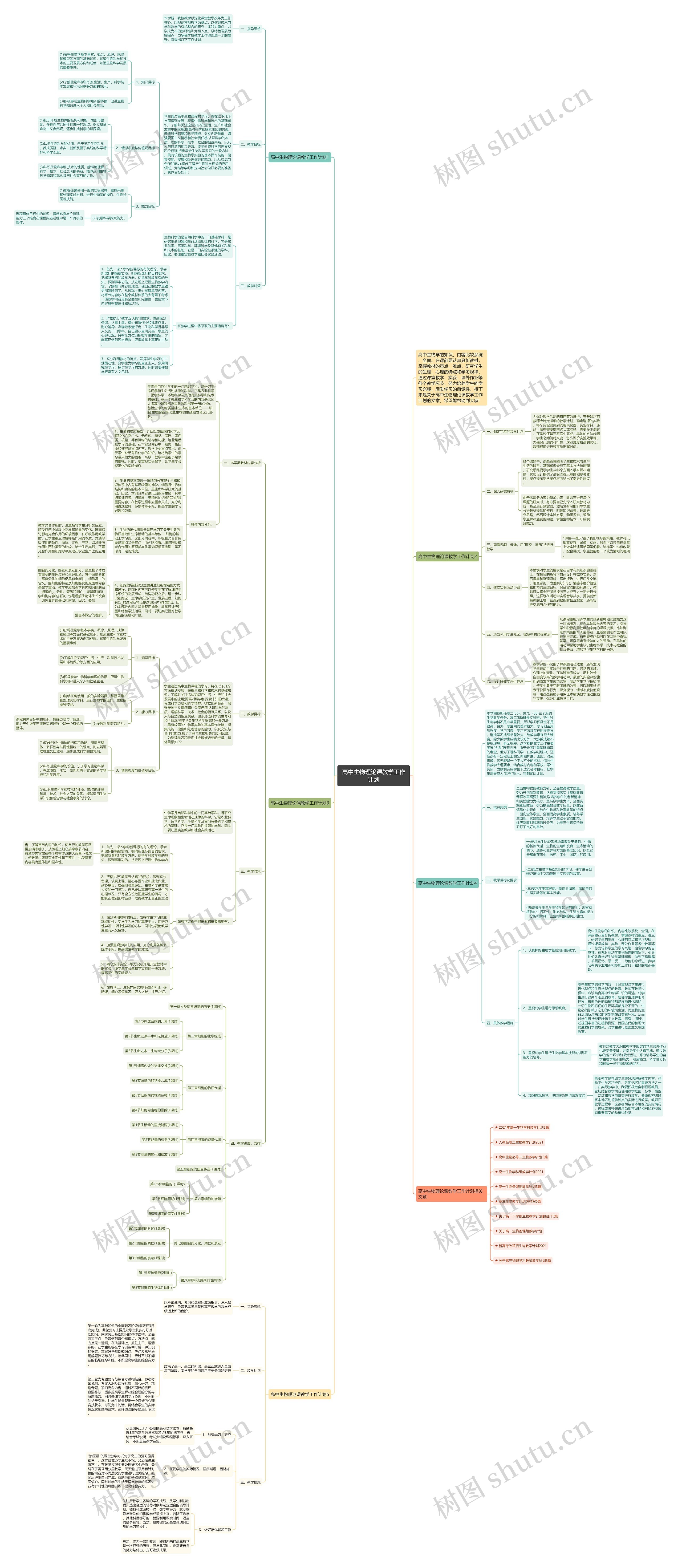 高中生物理论课教学工作计划思维导图