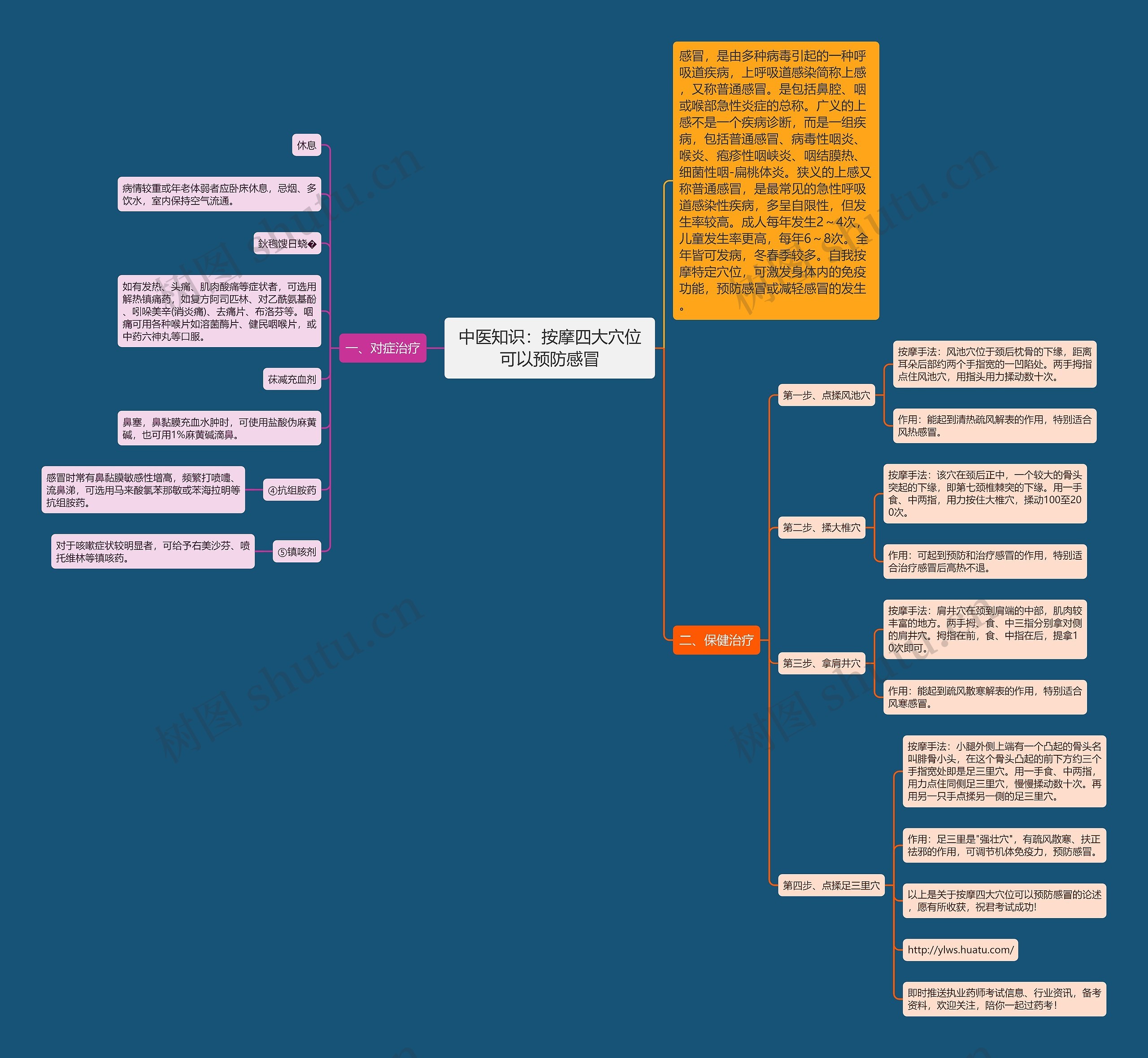 中医知识：按摩四大穴位可以预防感冒思维导图