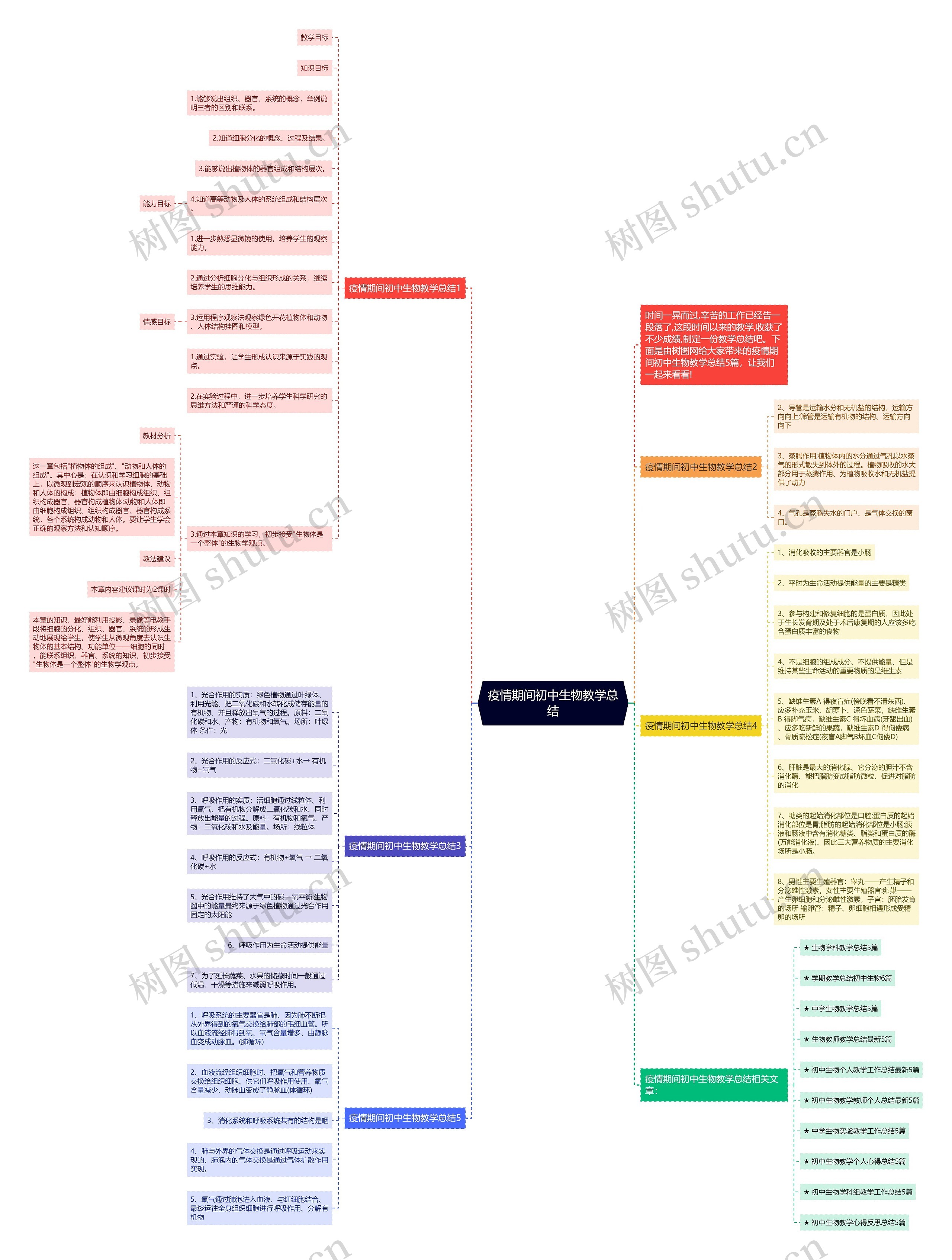 疫情期间初中生物教学总结思维导图