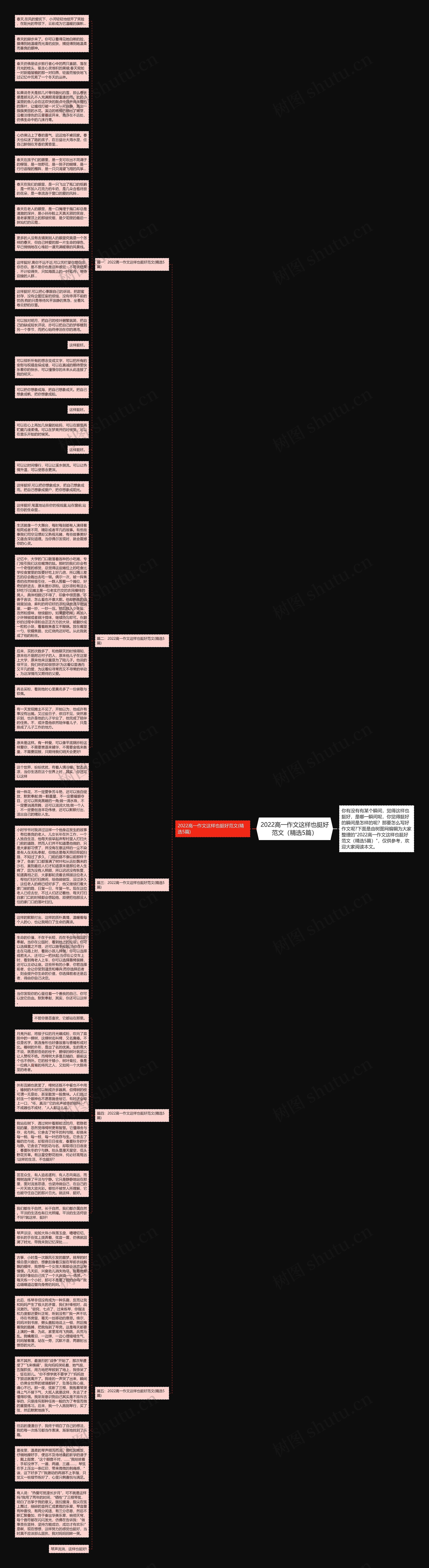 2022高一作文这样也挺好范文（精选5篇）思维导图