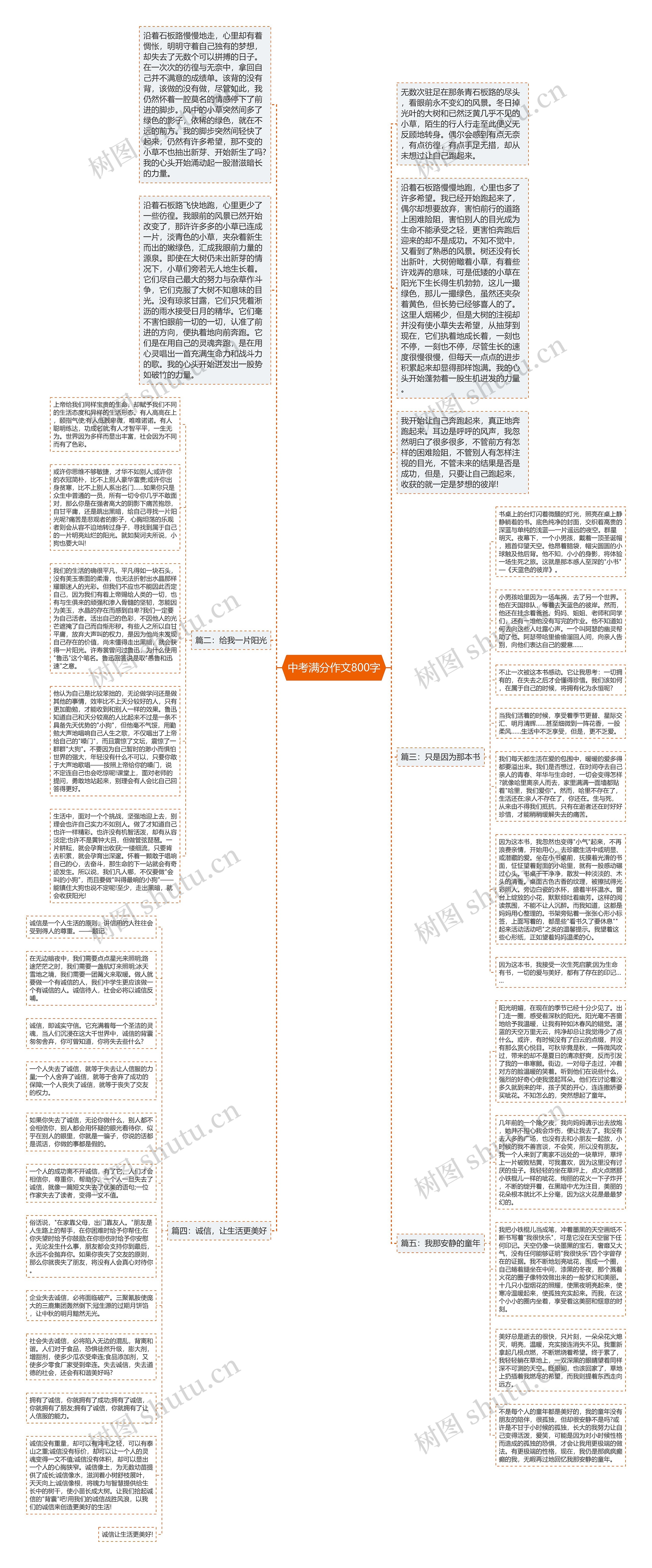 中考满分作文800字思维导图