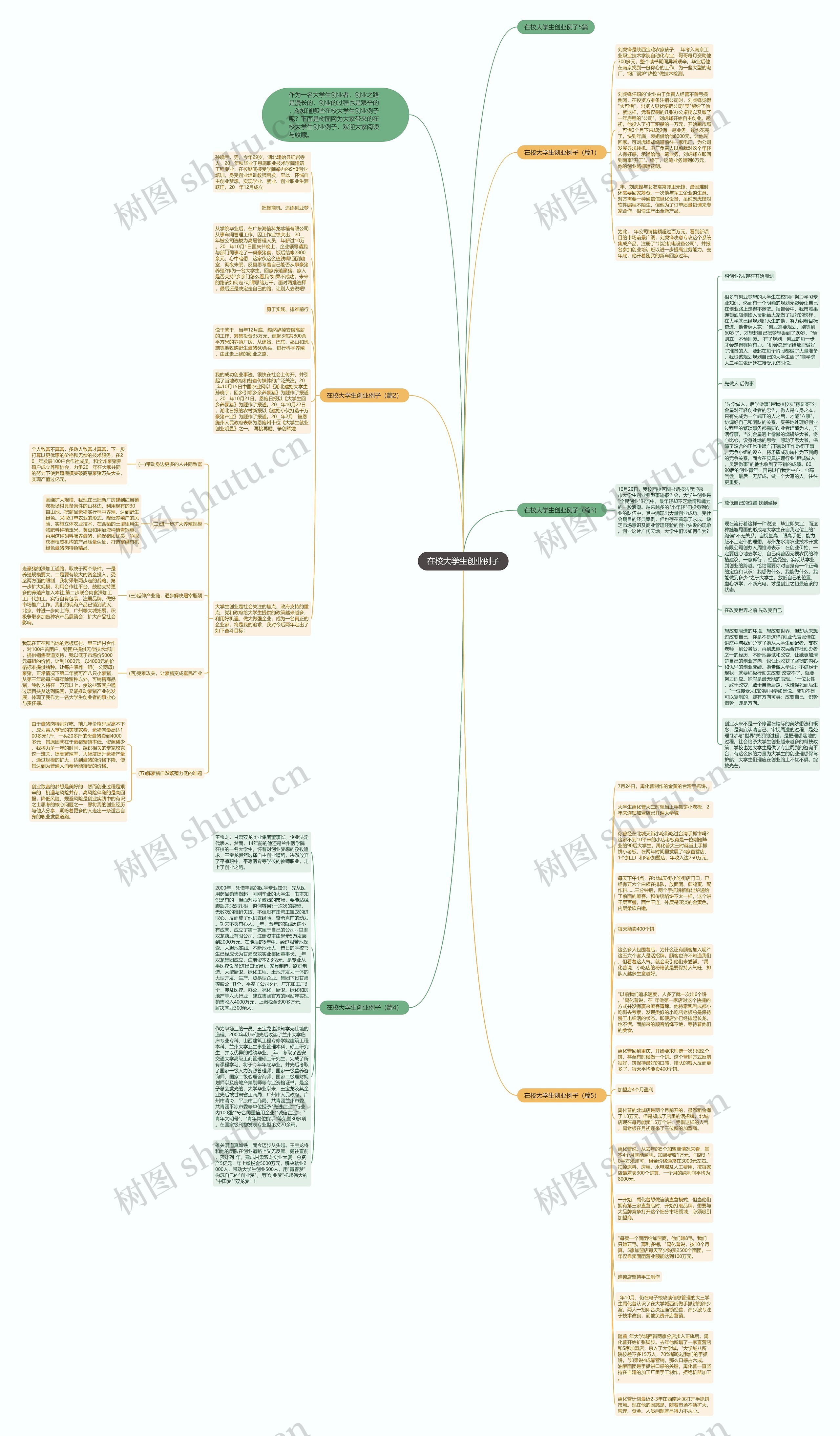 在校大学生创业例子思维导图
