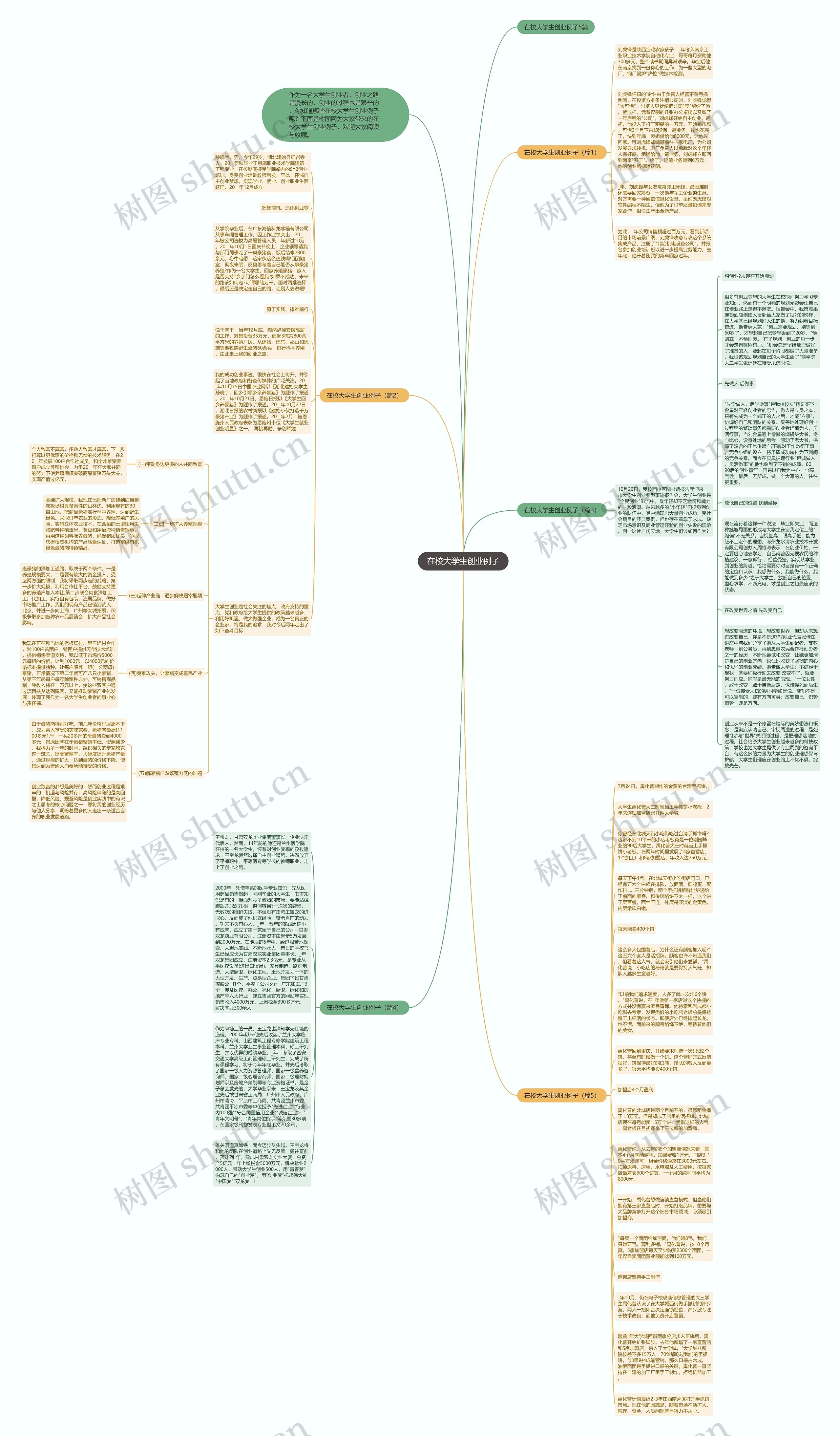 在校大学生创业例子思维导图高清图 在校大学生创业例子思维导图