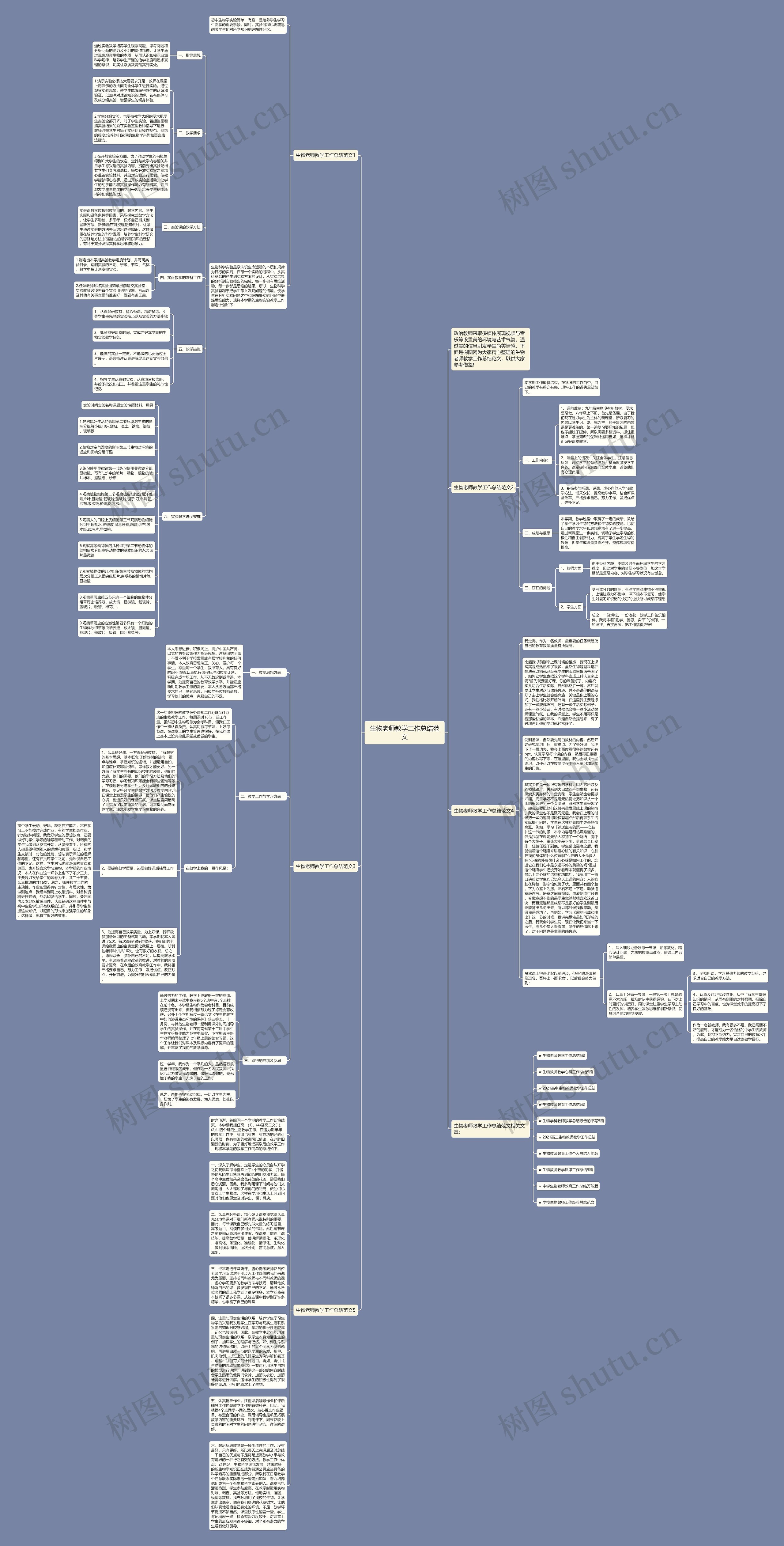 生物老师教学工作总结范文思维导图