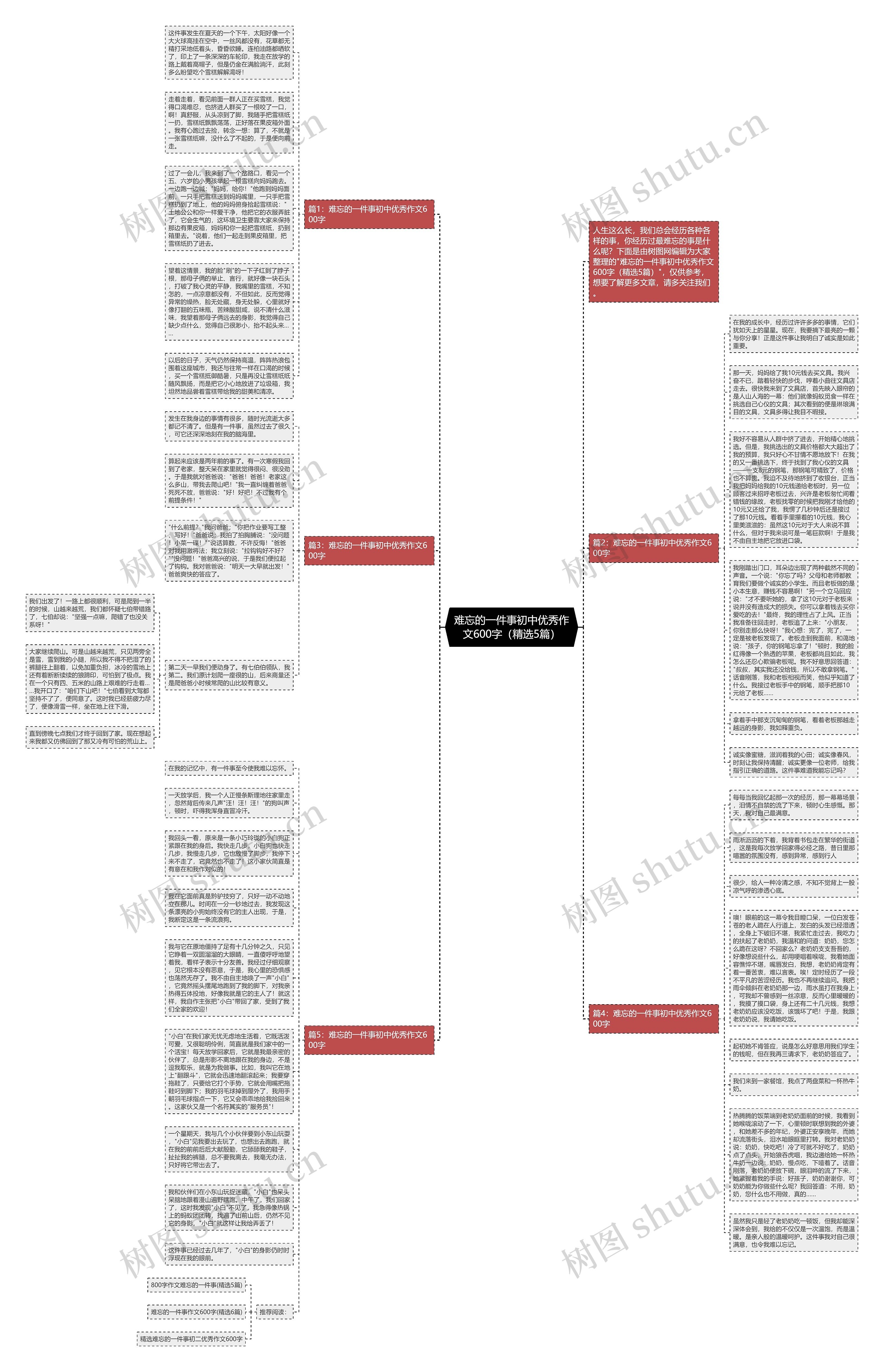 难忘的一件事初中优秀作文600字（精选5篇）思维导图