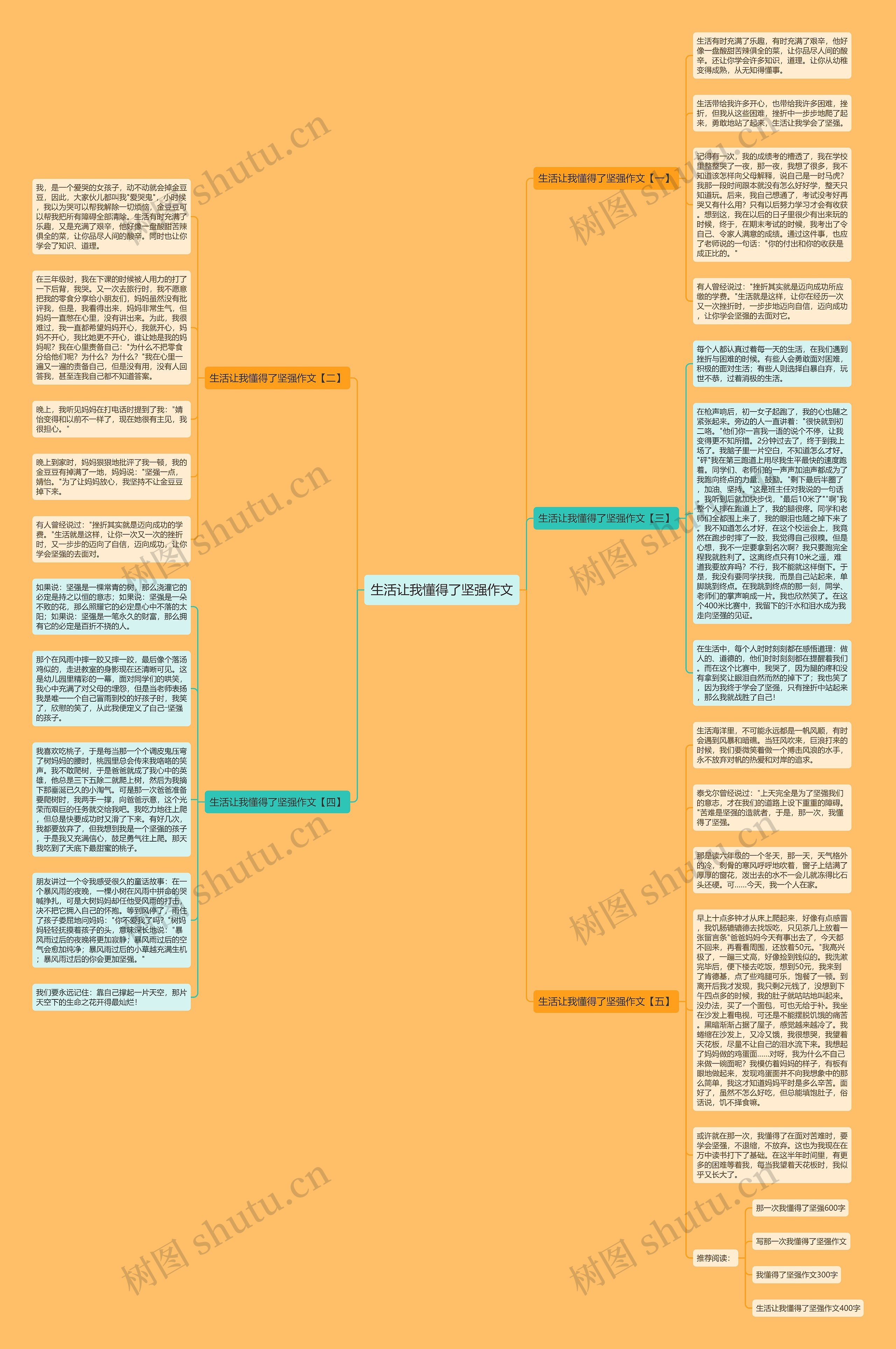生活让我懂得了坚强作文思维导图