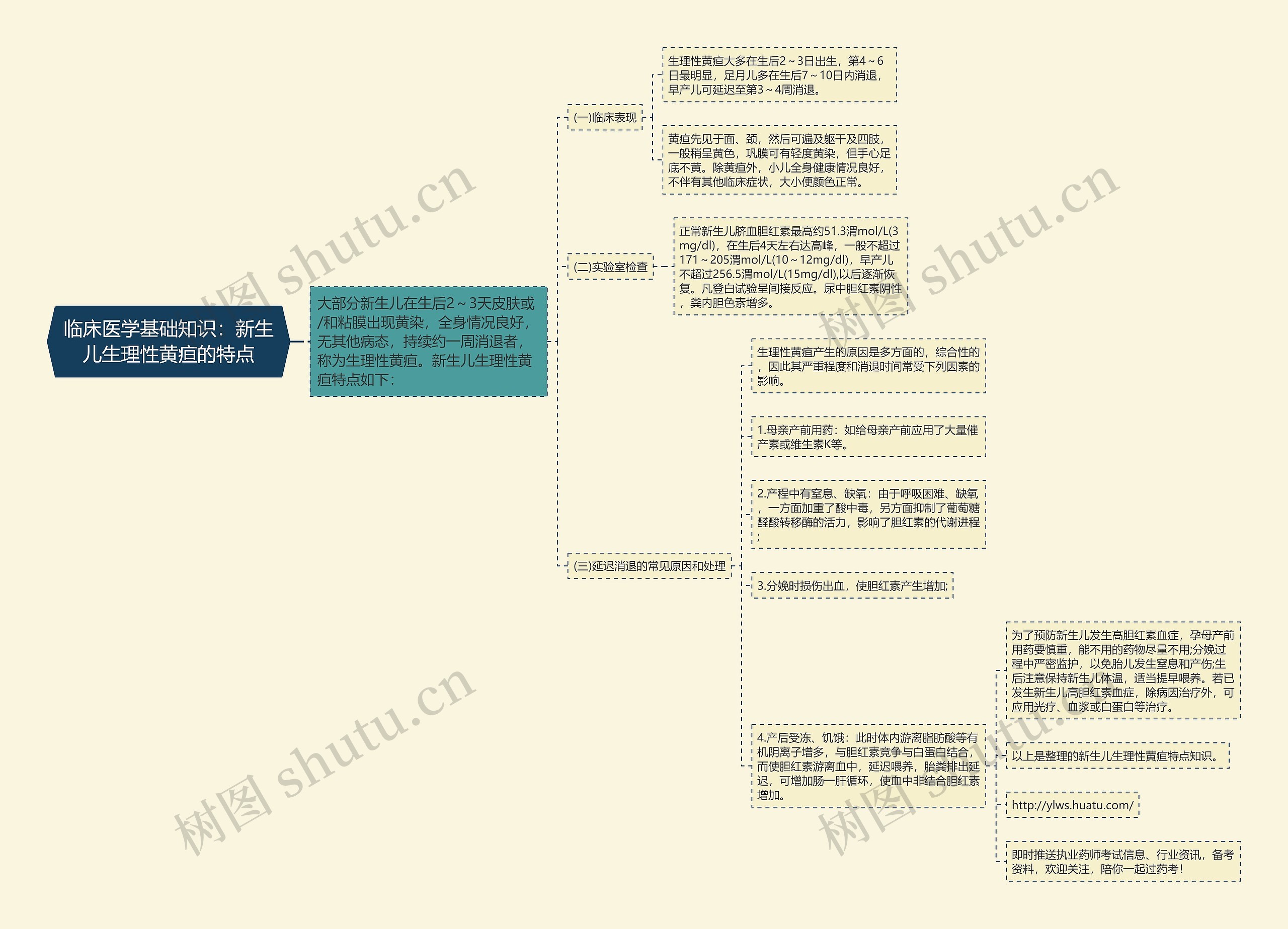 临床医学基础知识:新生儿生理性黄疸的特点 临床医学基础知识:新生儿生理性黄疸的特点
