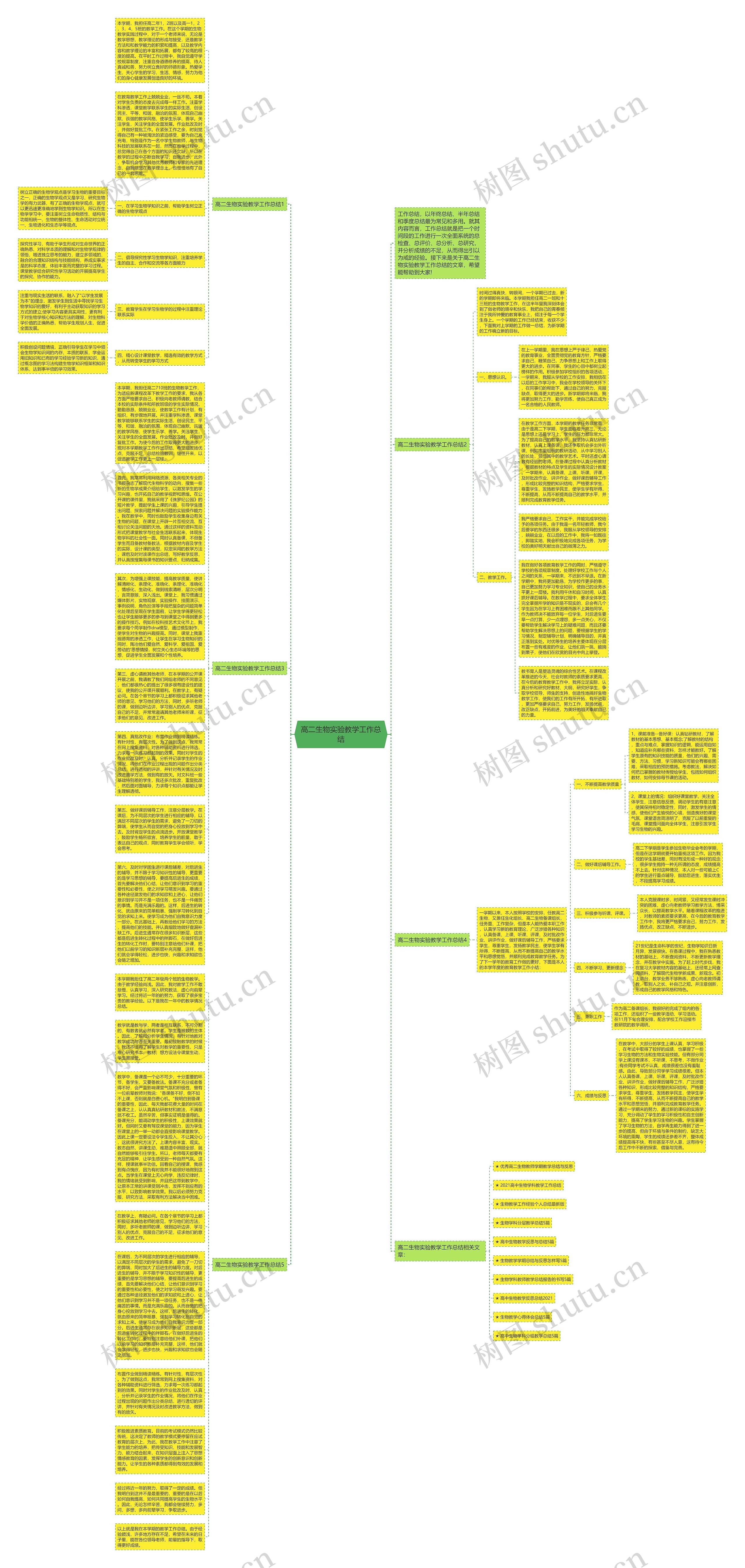 高二生物实验教学工作总结思维导图