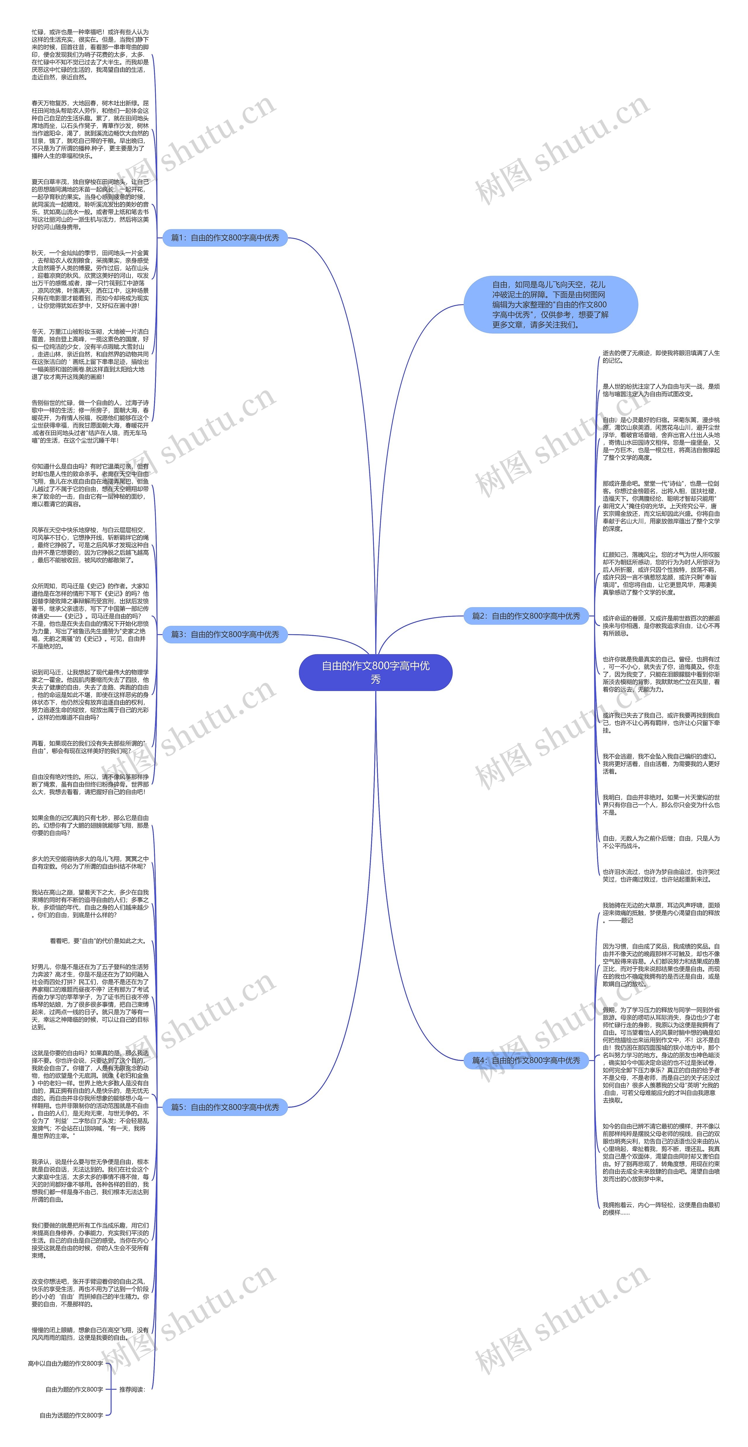 自由的作文800字高中优秀思维导图