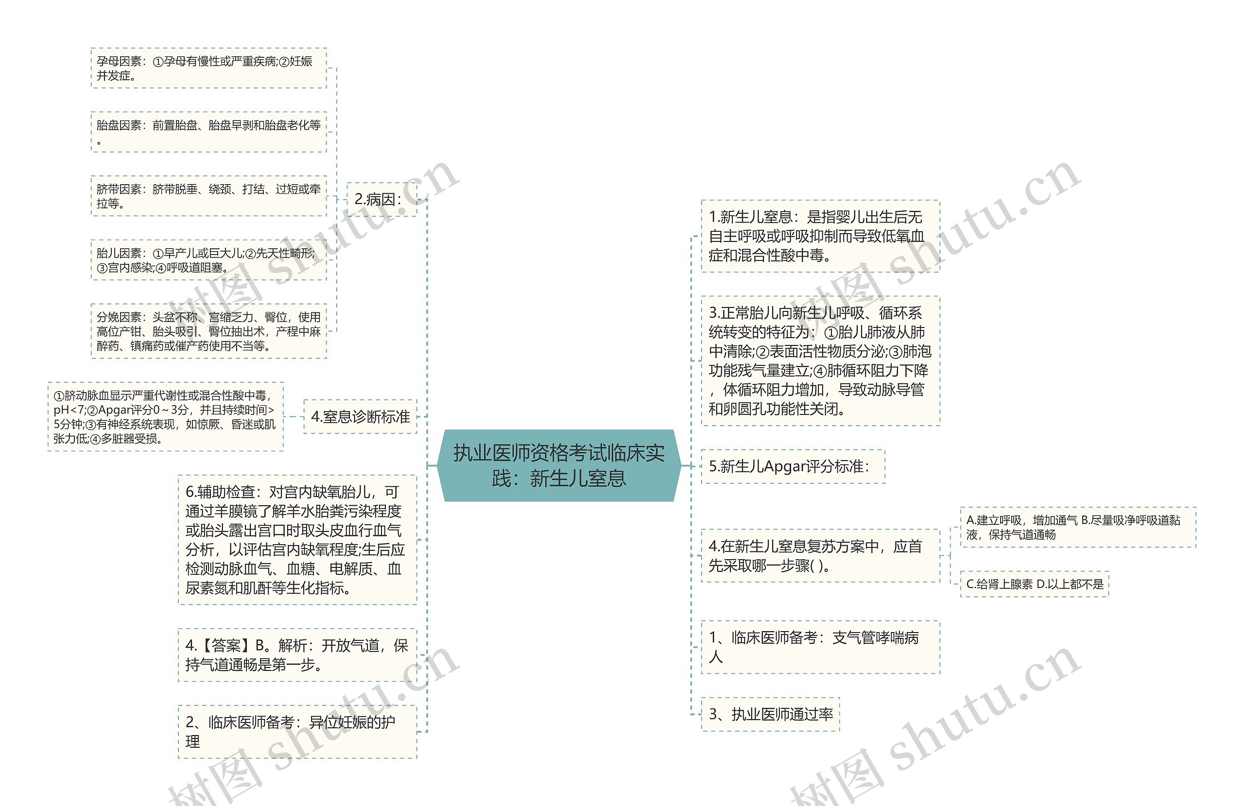 执业医师资格考试临床实践：新生儿窒息思维导图