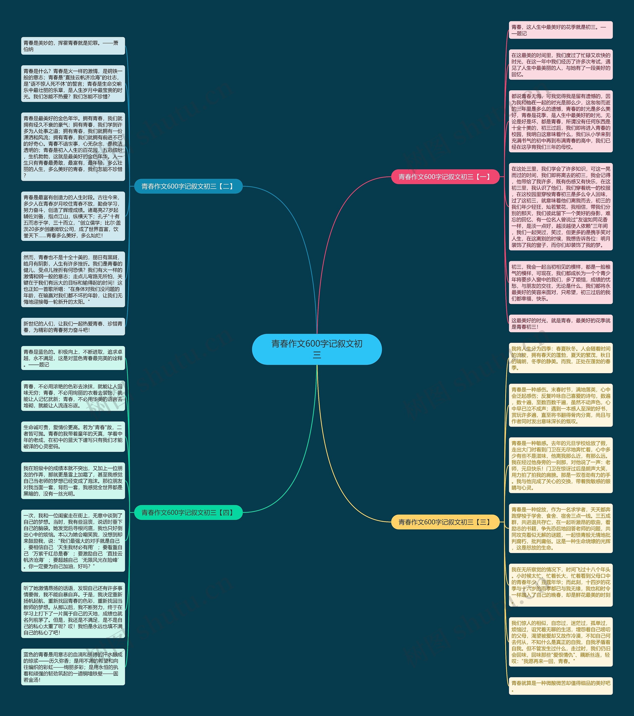 青春作文600字记叙文初三思维导图