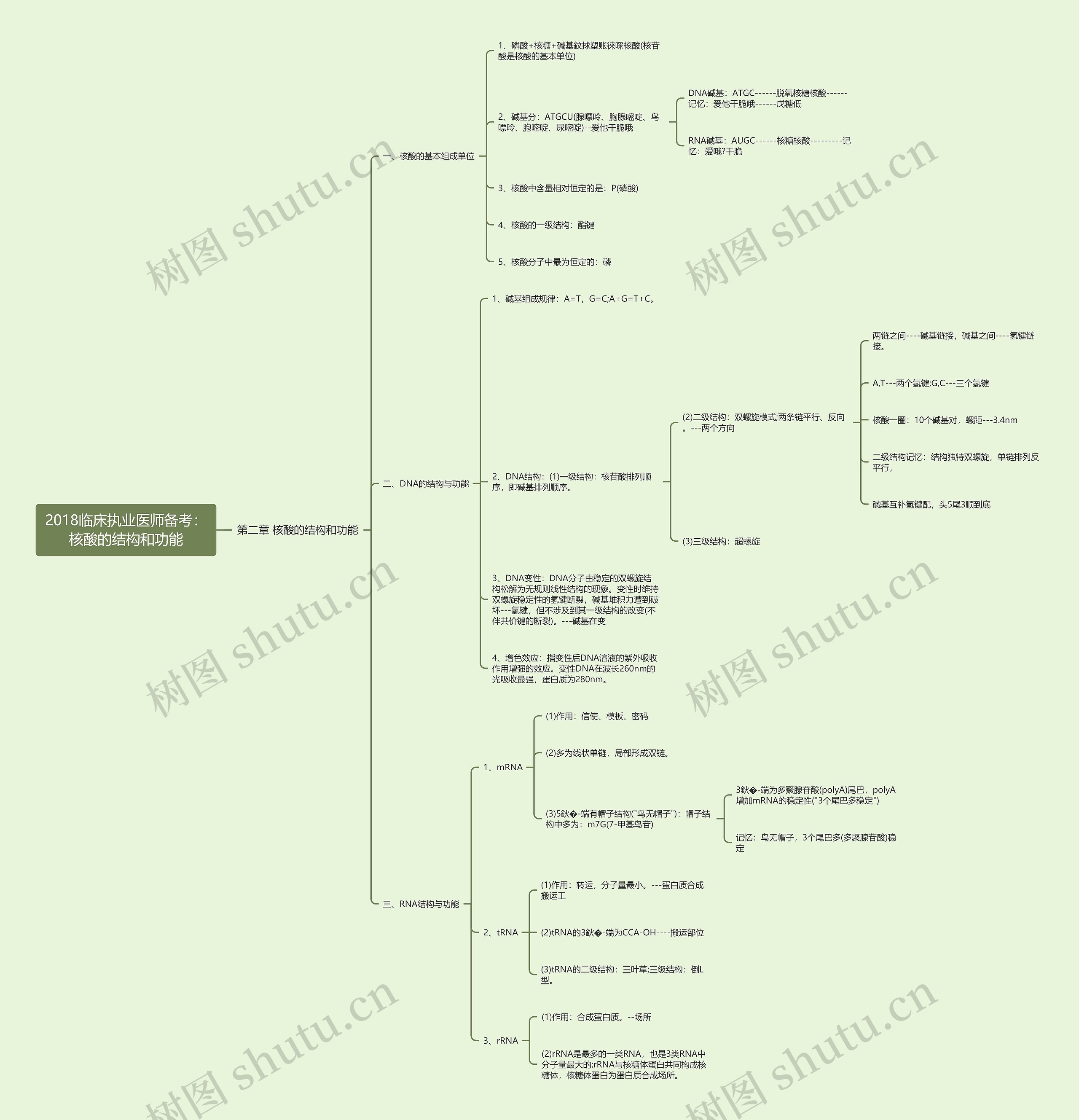 2018临床执业医师备考：核酸的结构和功能思维导图