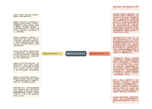 感恩作文800字作文